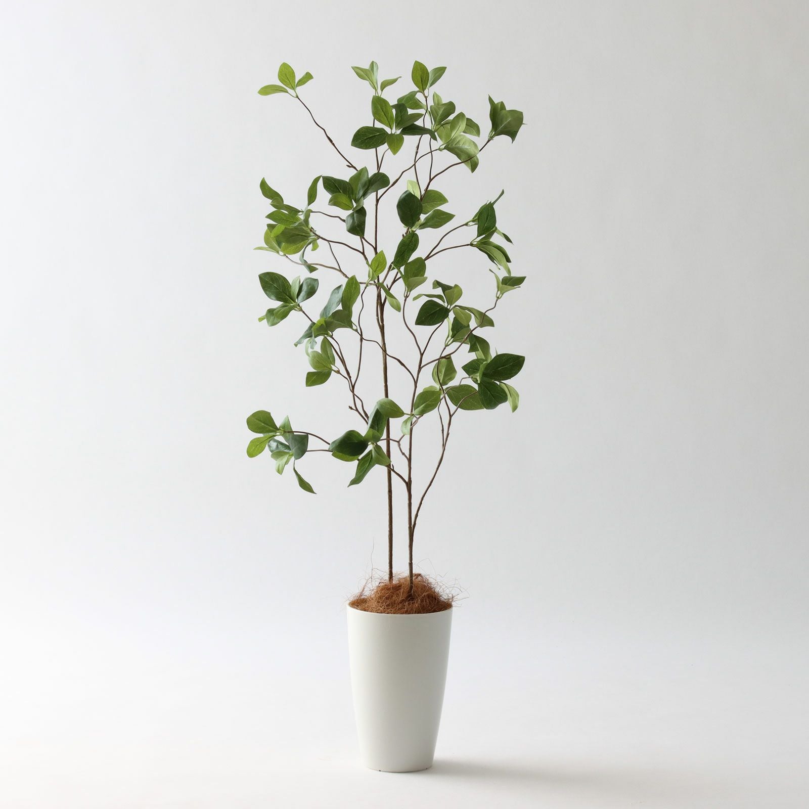 光触媒　人工観葉植物　フェイクグリーン　ヤマモミジ RED コアッド 200 人工観葉植物 ヤマモミジ GREEN コアッド 230 ポット付き 高さ230cm
