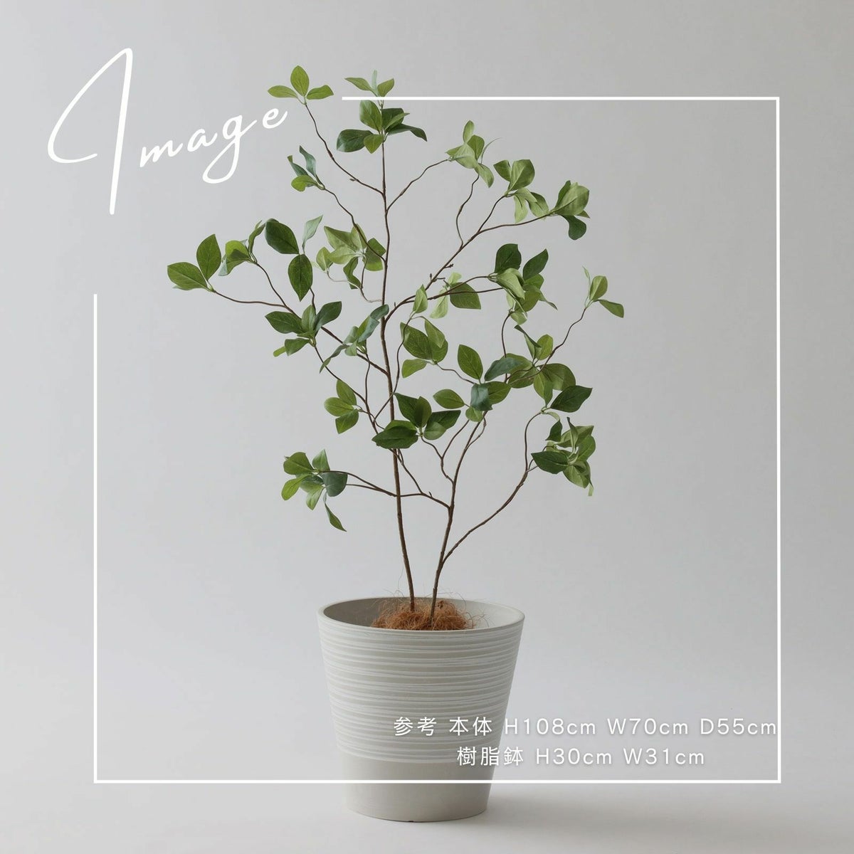 【参考】本体：h108cm w70cm d55cm 鉢：h30cm w31cm