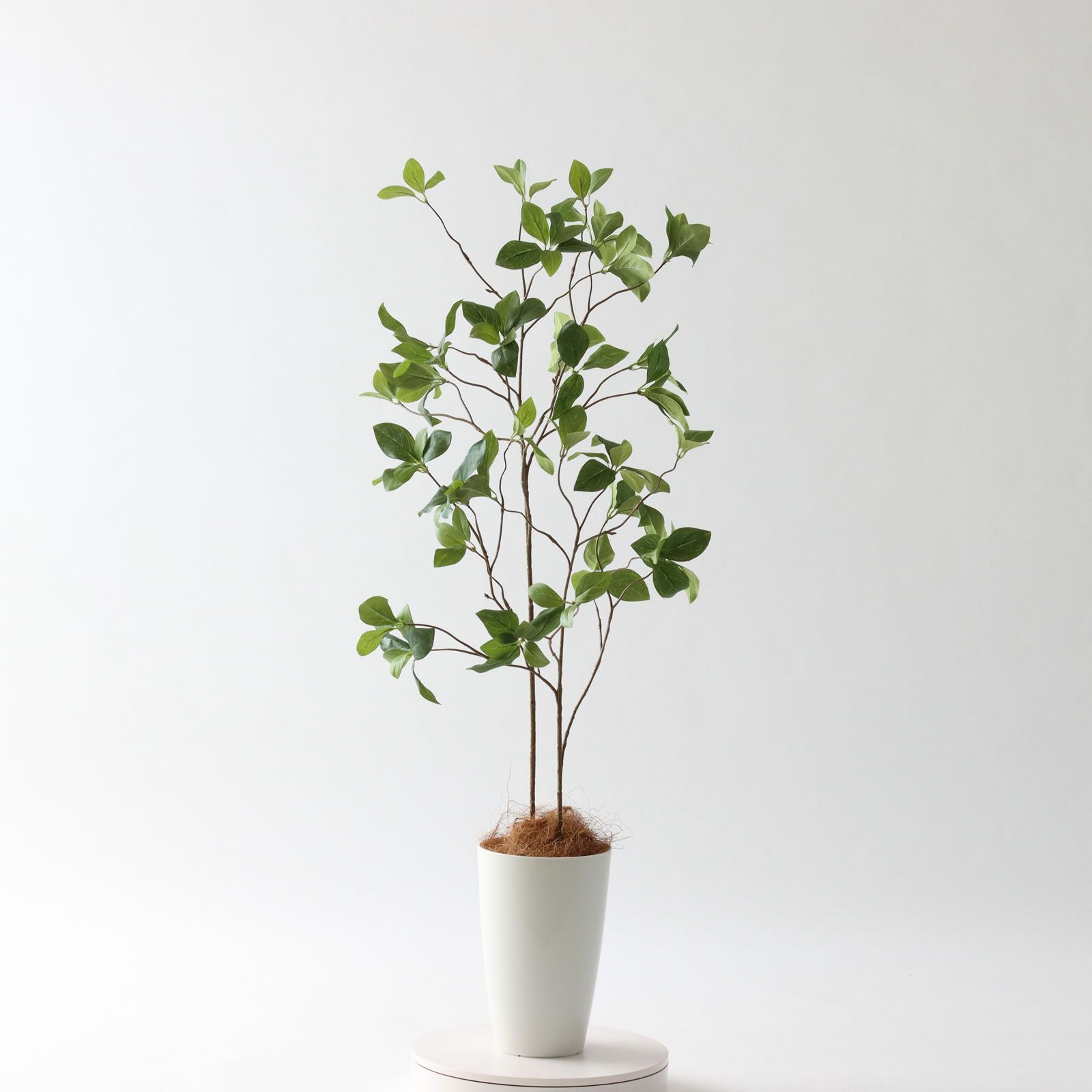 360度回転イメージ