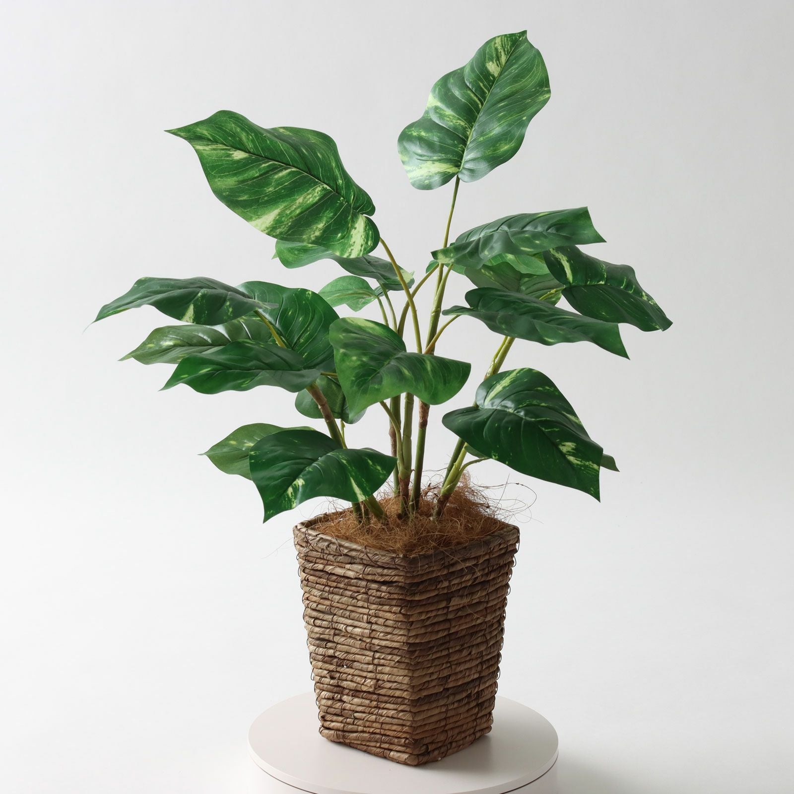 360度回転イメージ