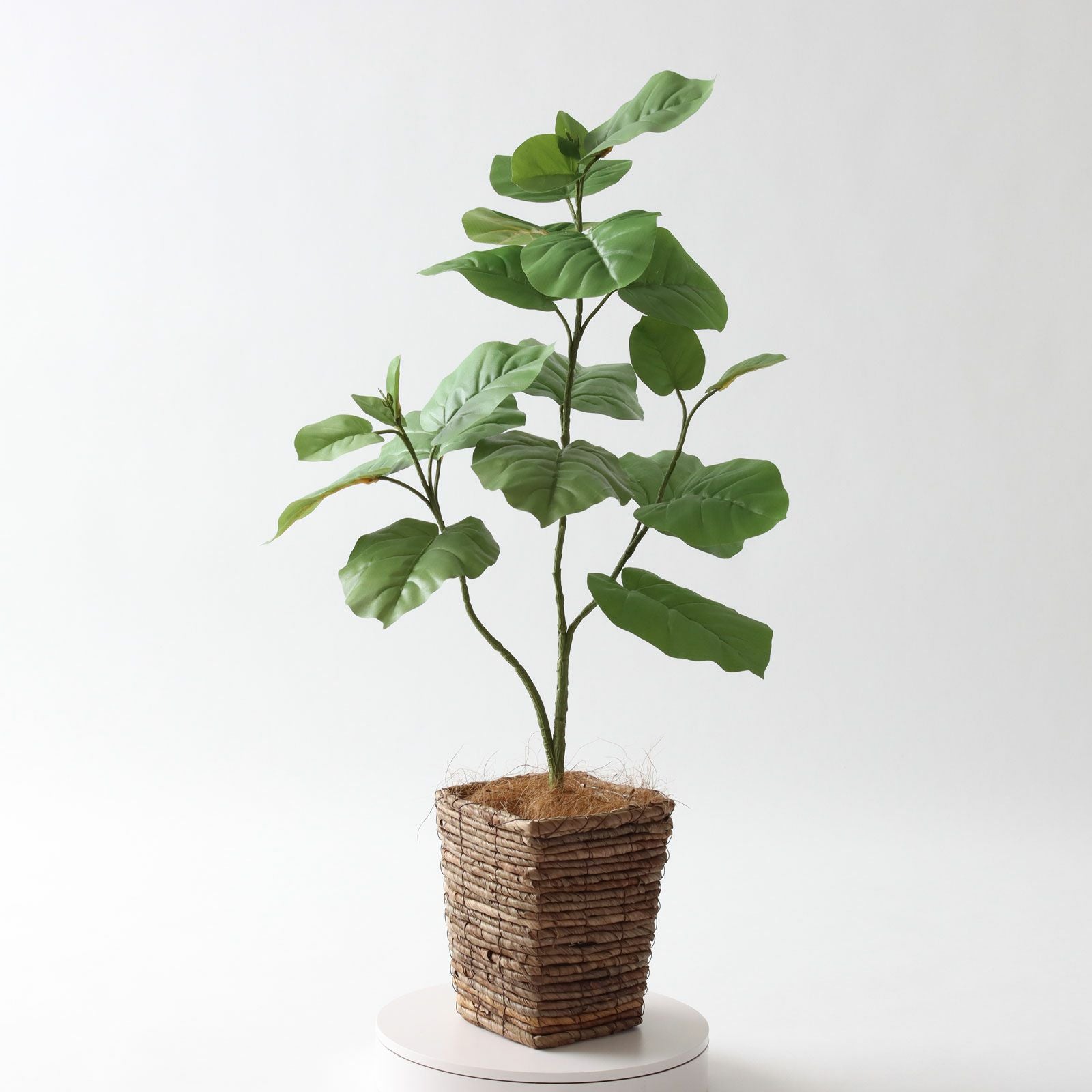 360度回転イメージ