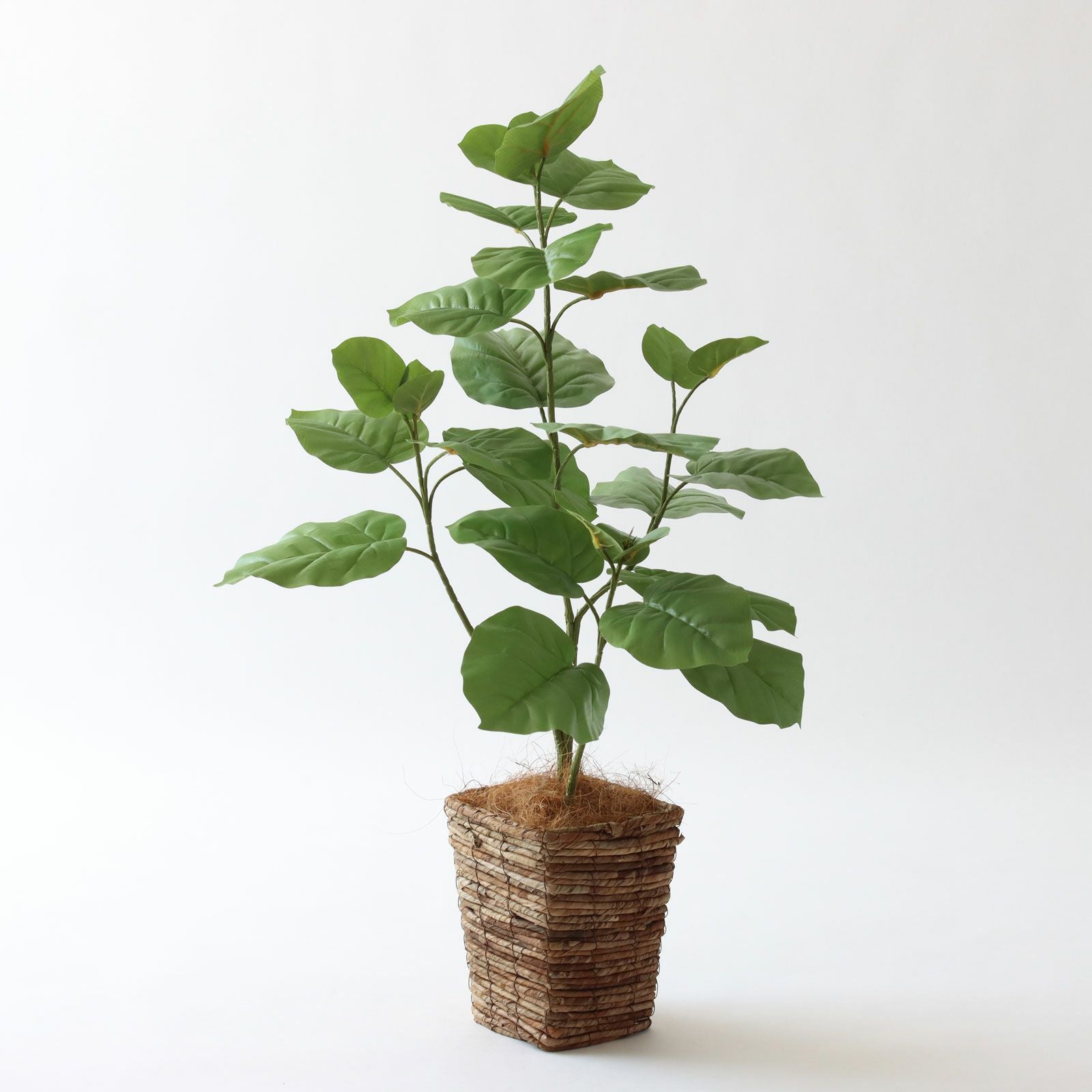 幅-70cm | プレミアム光触媒フェイクグリーン 造花ドットコム zouka.com