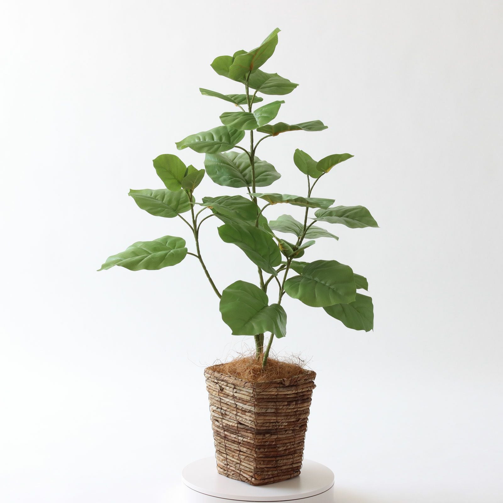 360度回転イメージ