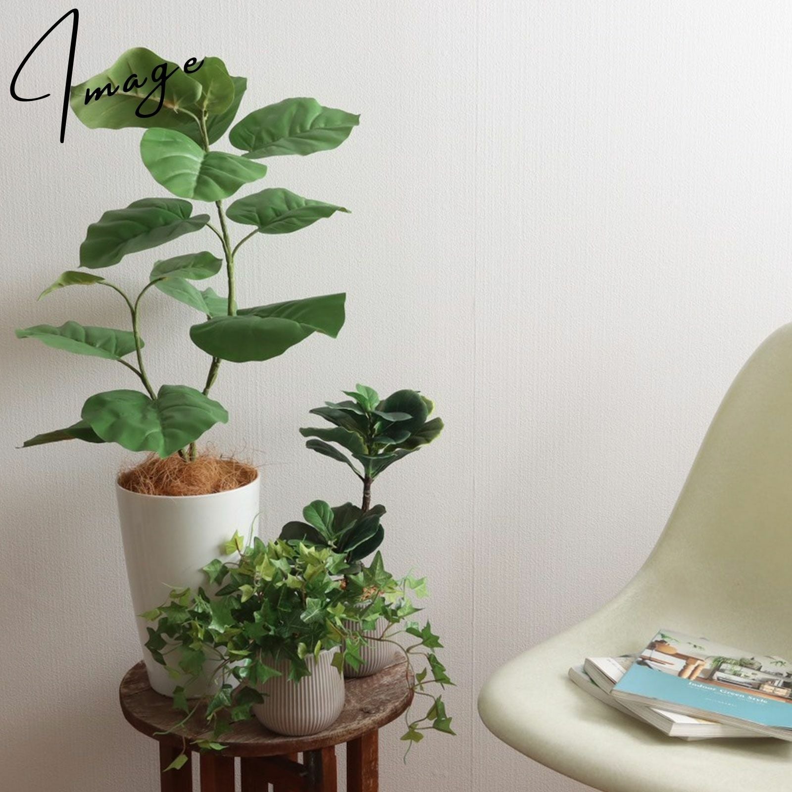 日当たりの悪い場所に置けるフェイクグリーン