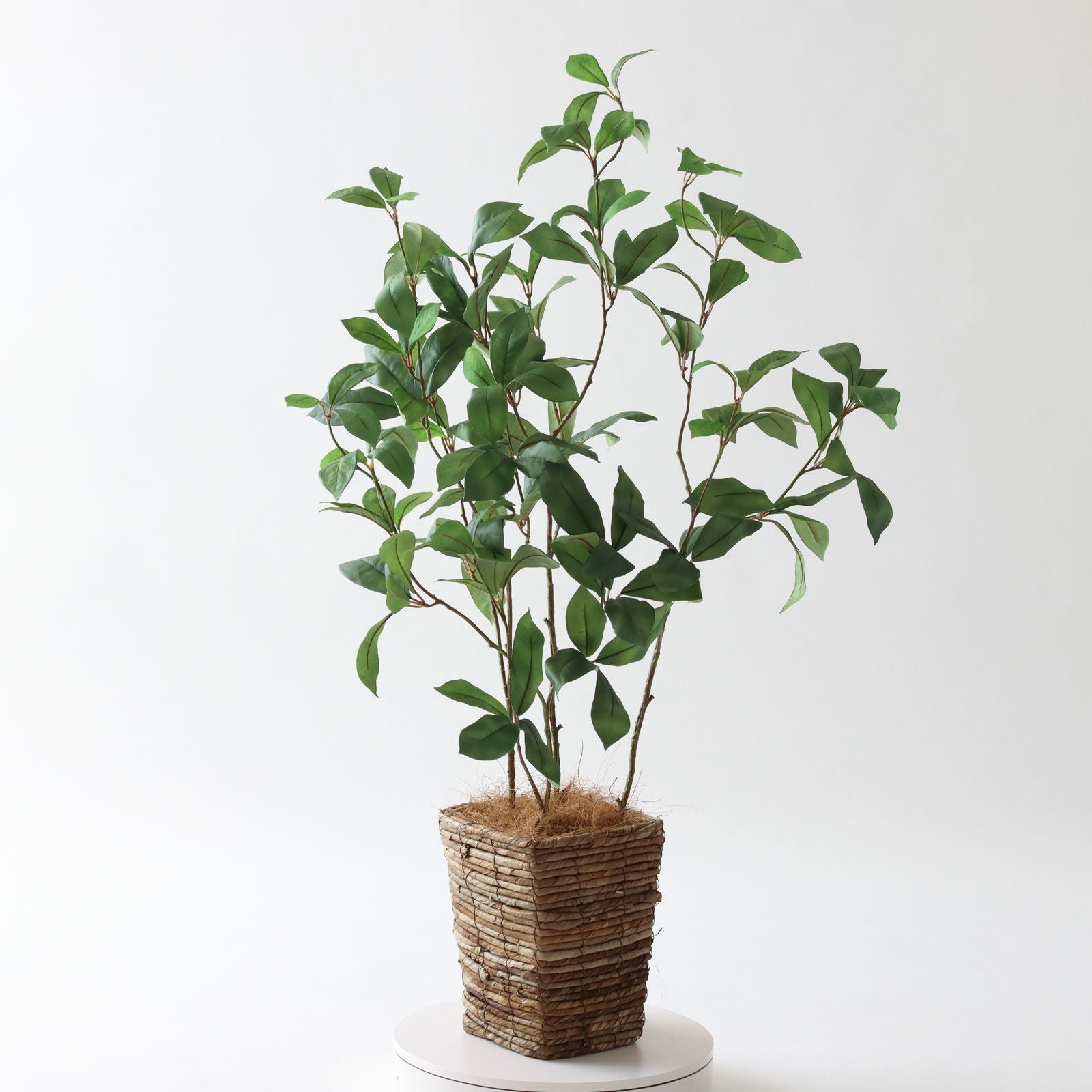 360度回転イメージ