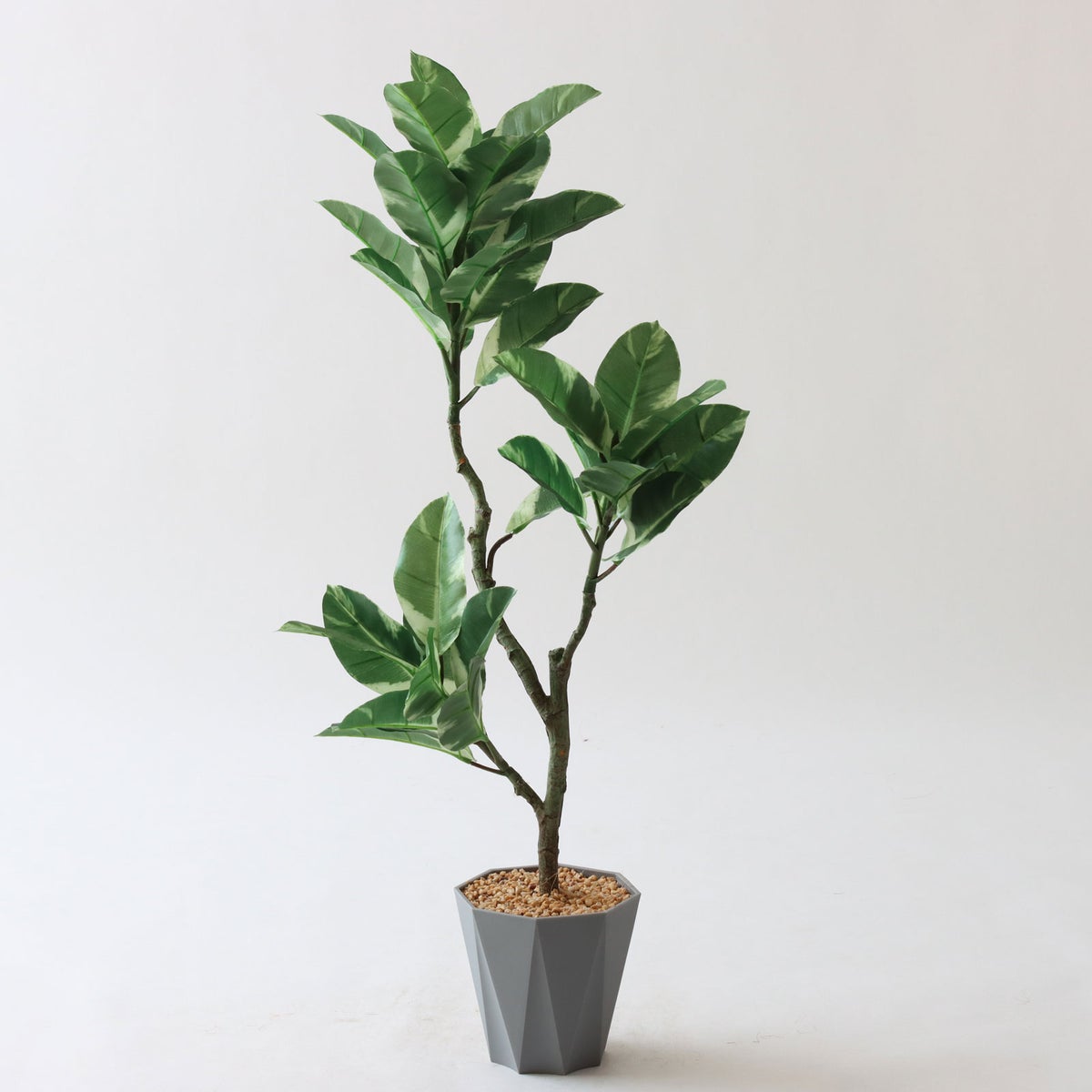 ⑬ Formaポット（標準）