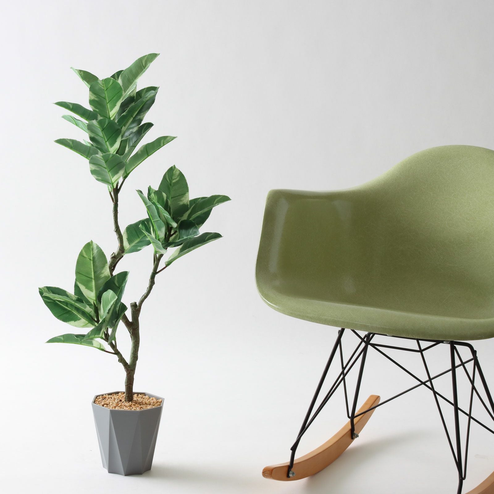 イームズチェアとグリーンのある空間