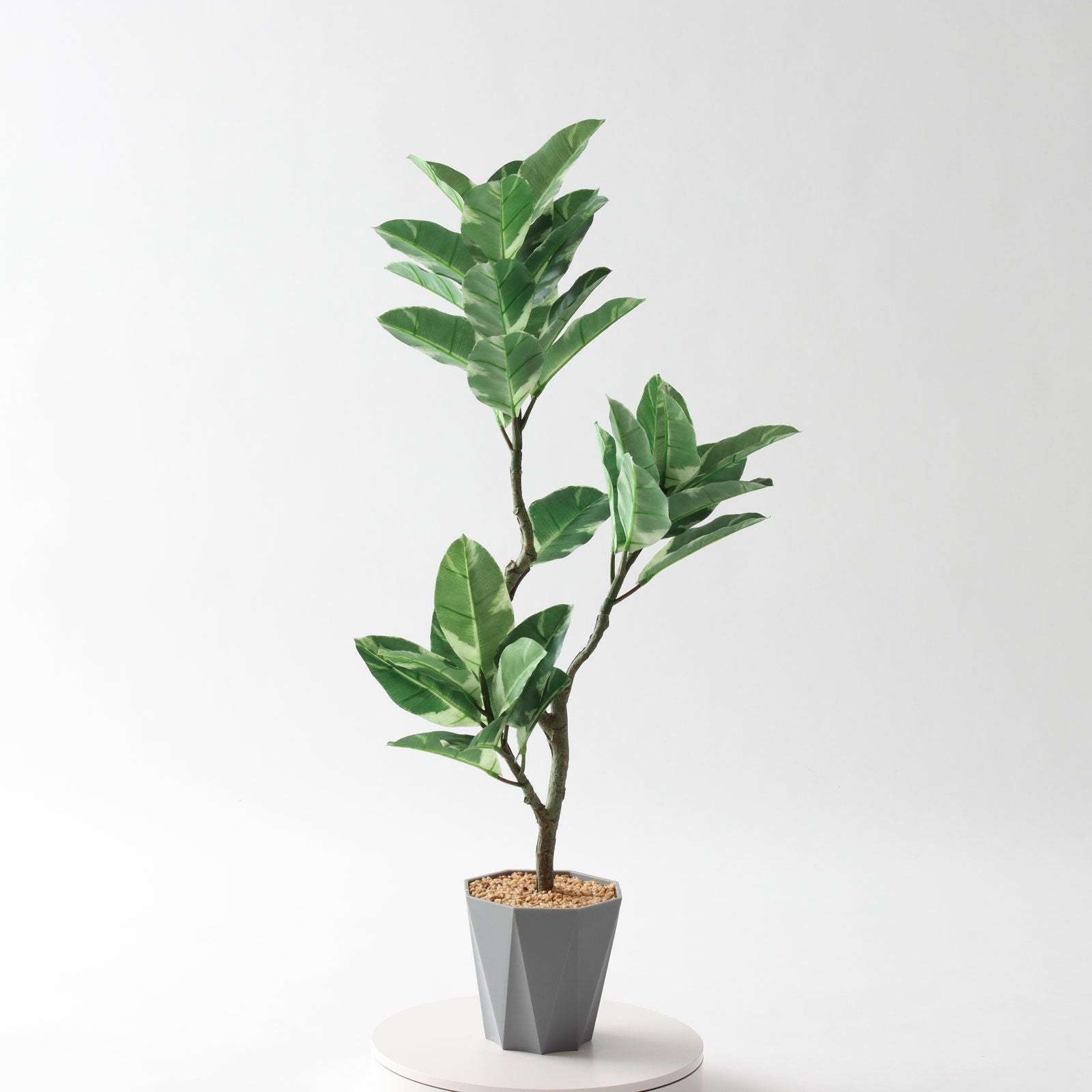 360度回転イメージ