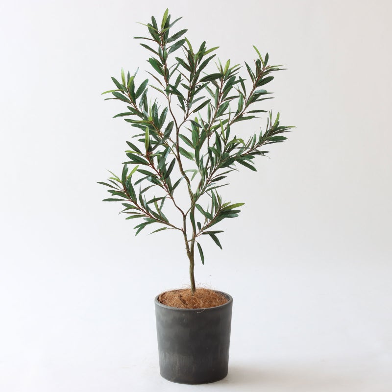 ⑰ Petraポット （PT5 チャコール）｜高さ調整セット(+5cm)