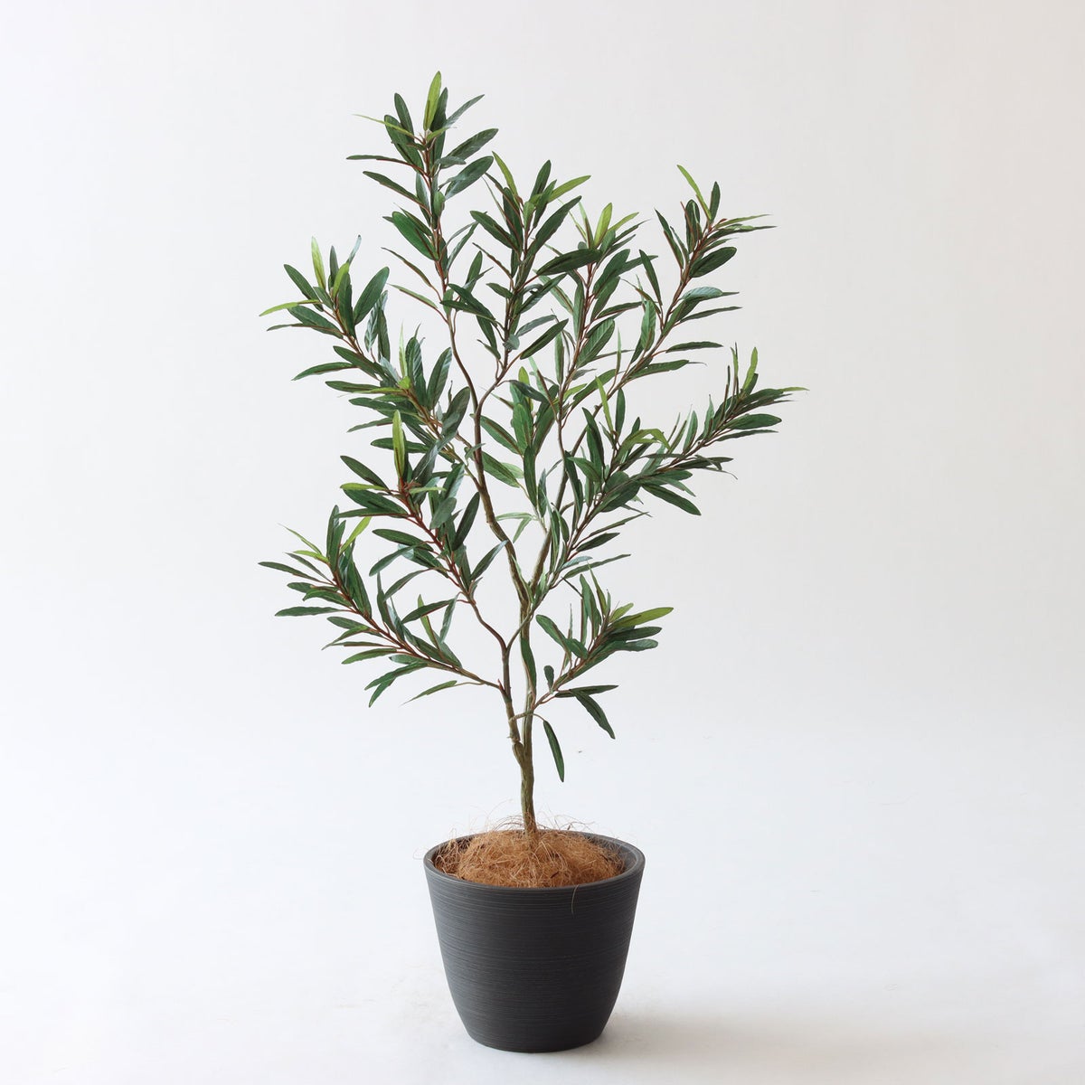  ⑱Nagomiポット（NP5 ブラック）｜標準セット