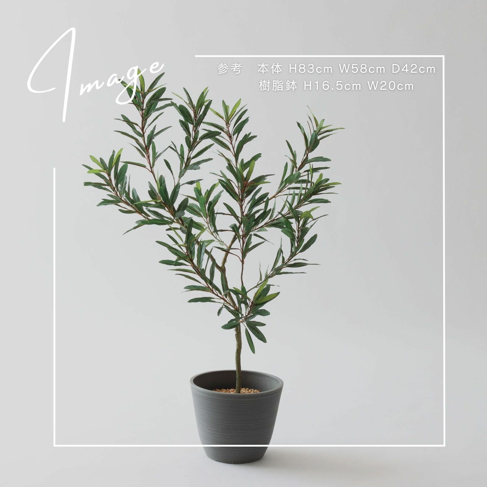 No8447 オリーブのある夜の空間イメージ