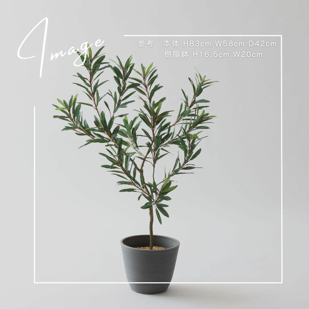 【参考】本体 h83cm w58cm d42cm 鉢 h16.5cm w20cm