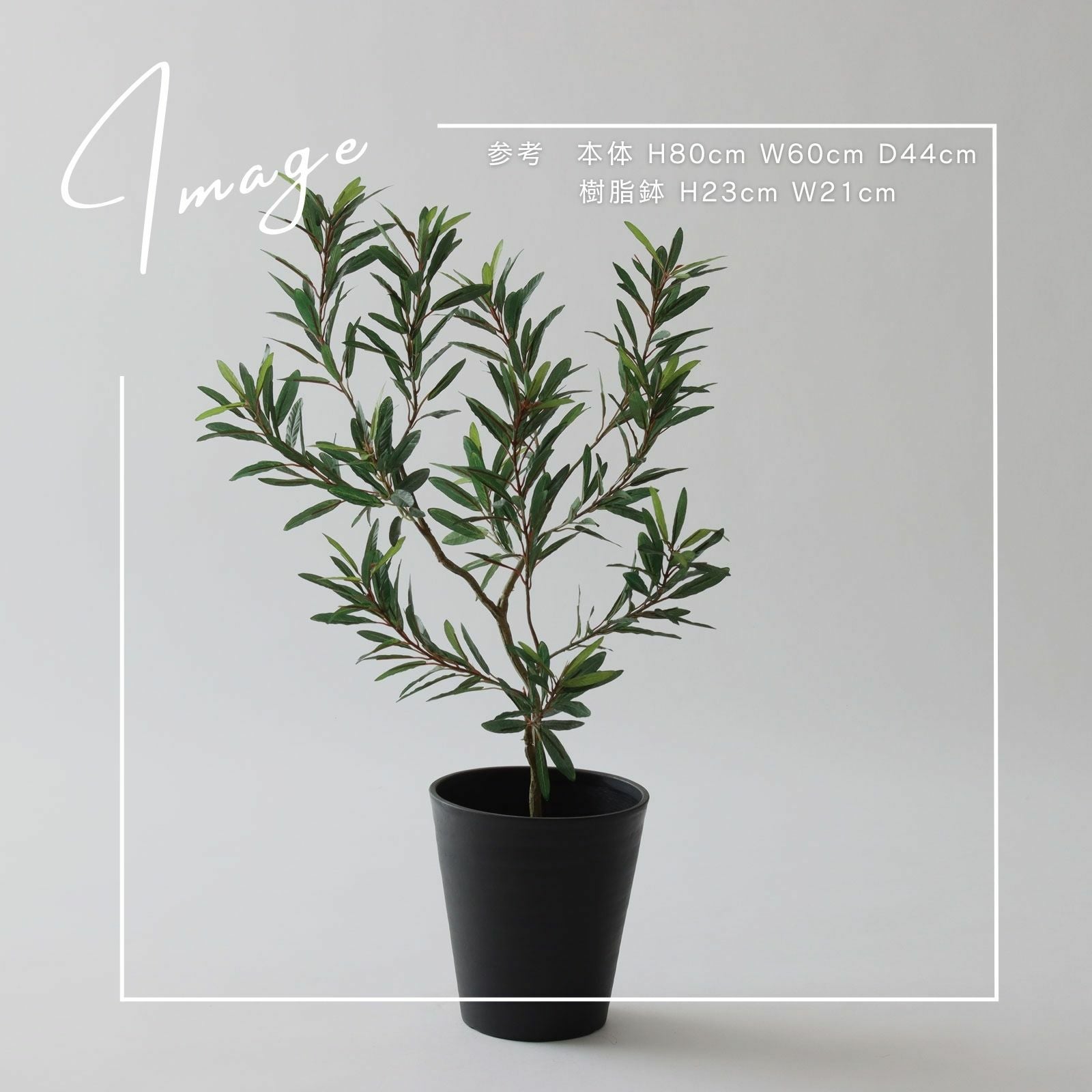 No8447 オリーブのあるリビングイメージ