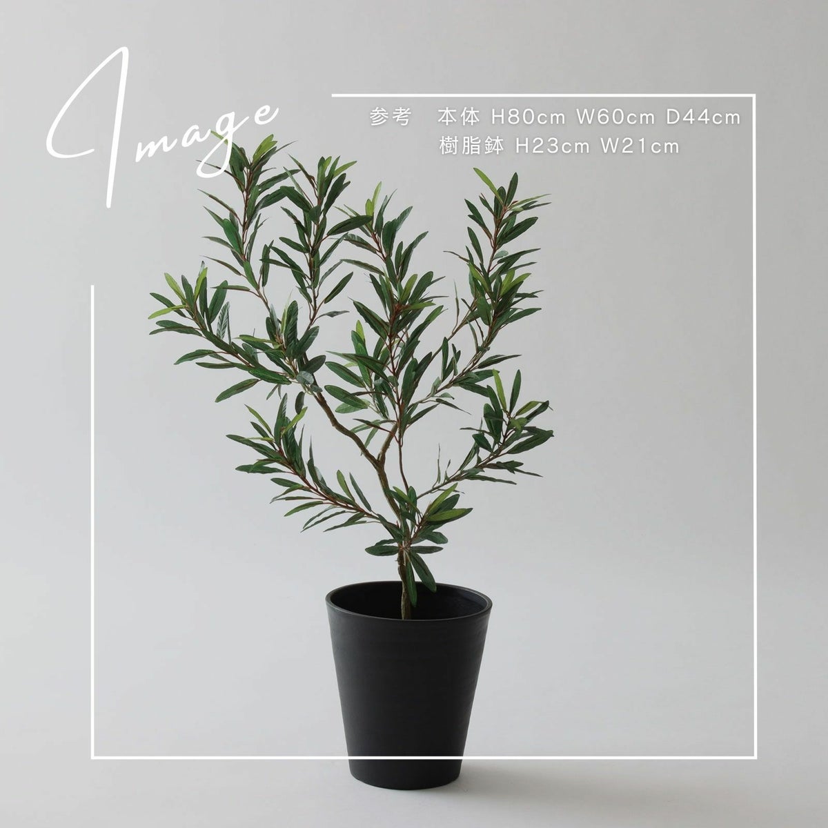 【参考】本体 h80cm w60cm d44cm 鉢 h23cm w21cm