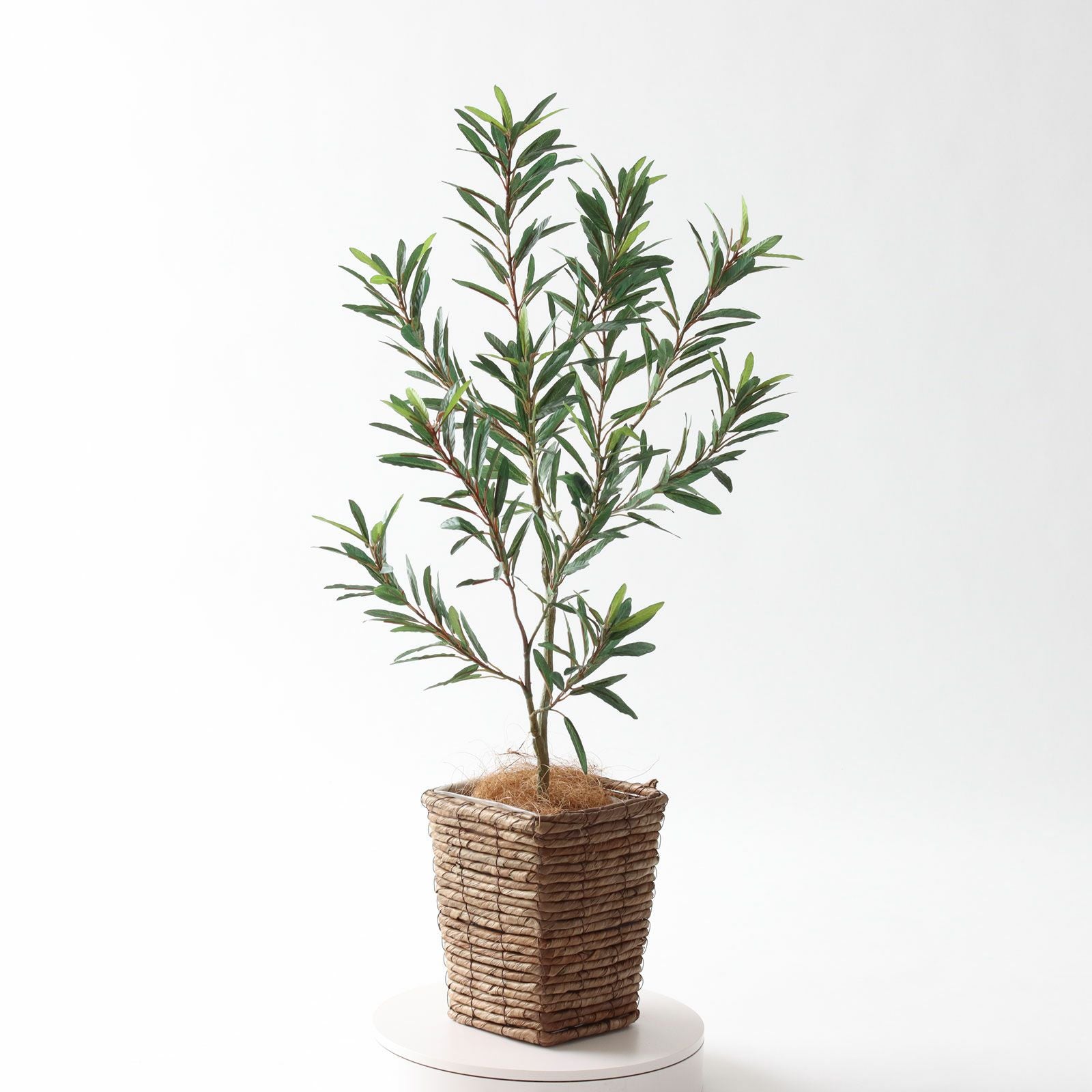 360度回転イメージ