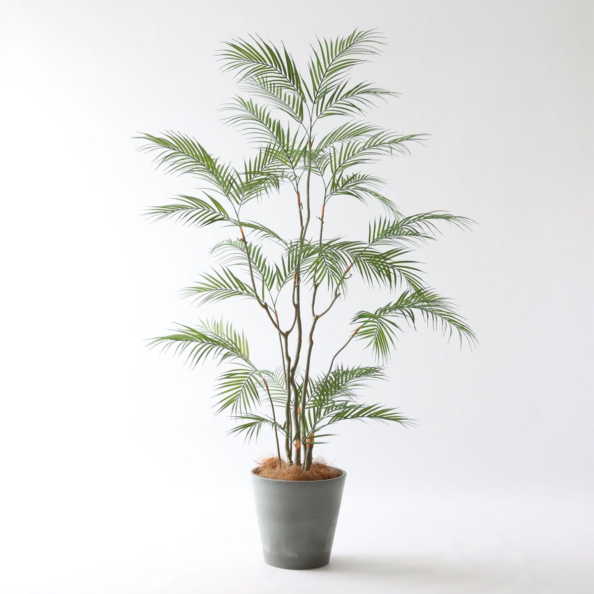 ⑮ Petraポット 小（PT8 グレー）鉢カバー＋底上げセット