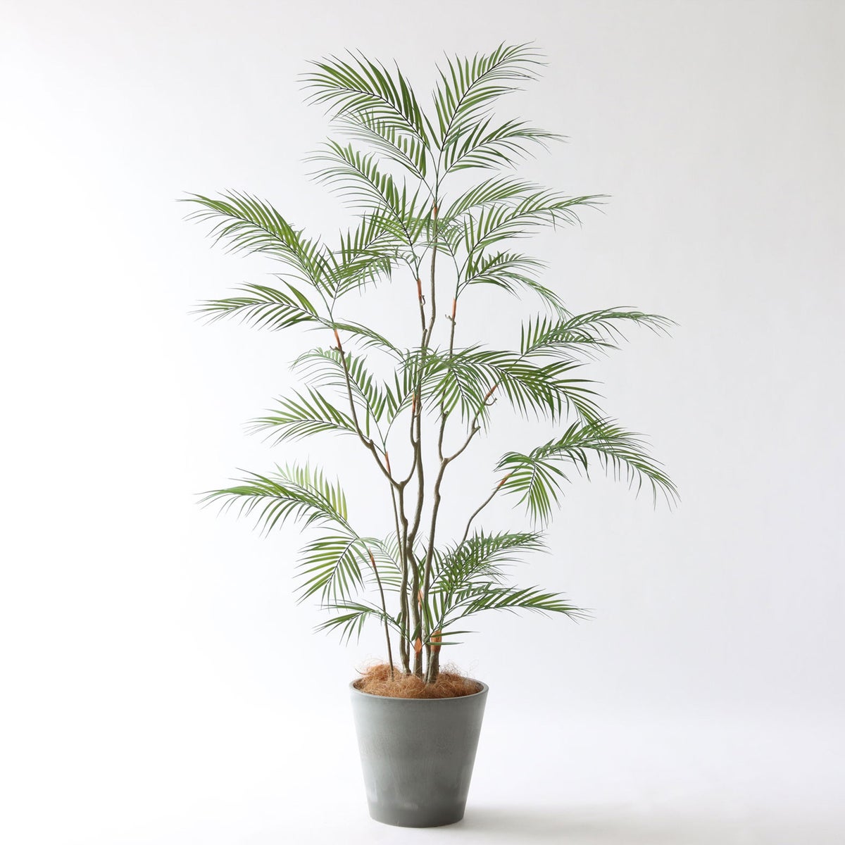 ⑮ Petraポット 小（PT8 グレー）｜高さ調整セット（+10cm）