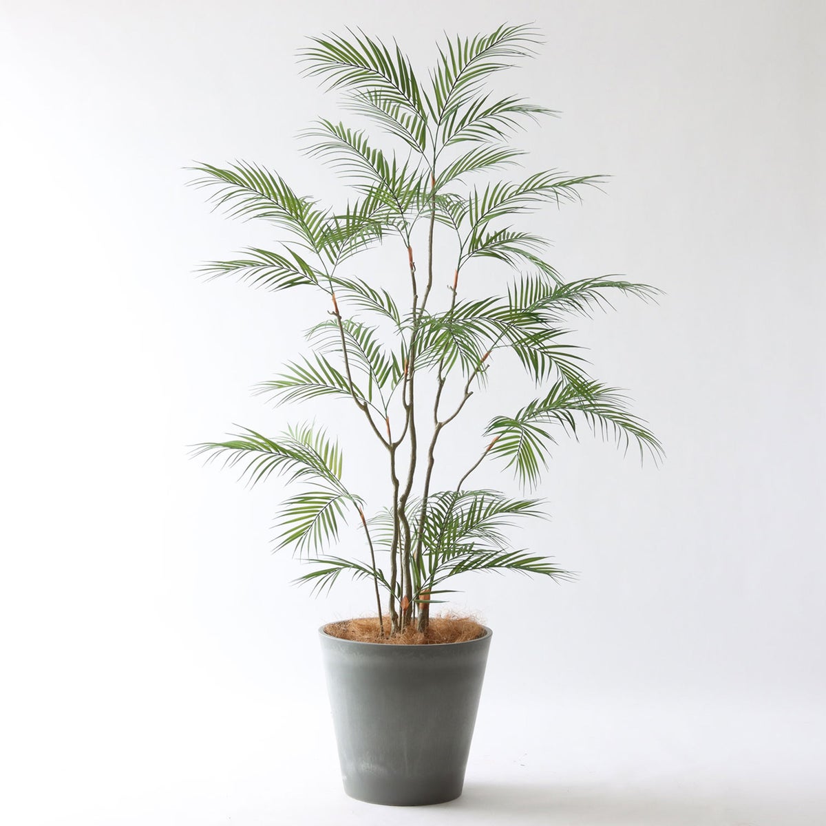 ⑯ Petraポット 大（PT10 グレー）｜高さ調整セット（+15cm）