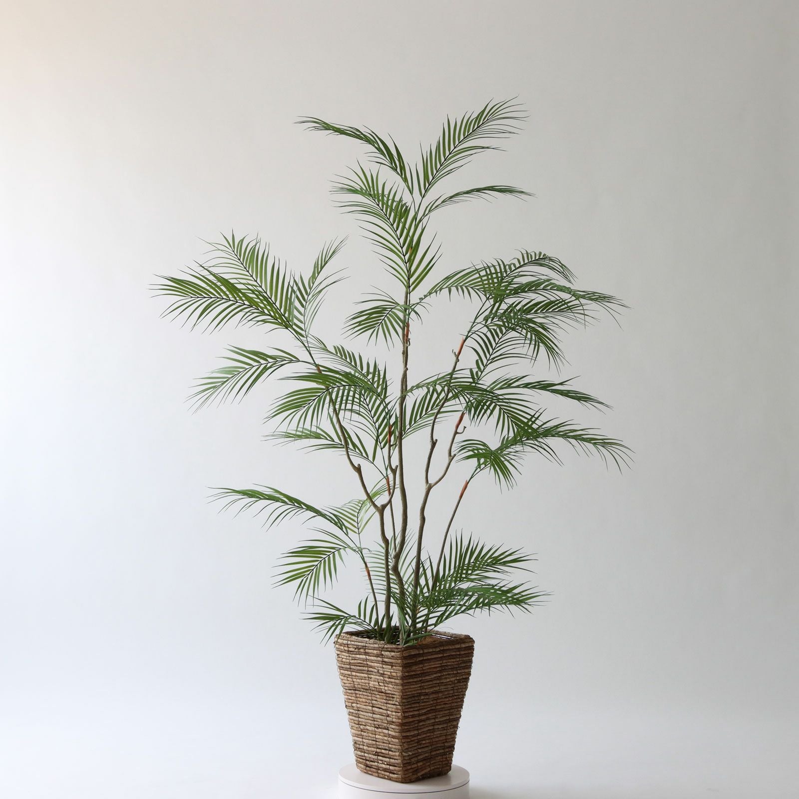 360度回転イメージ