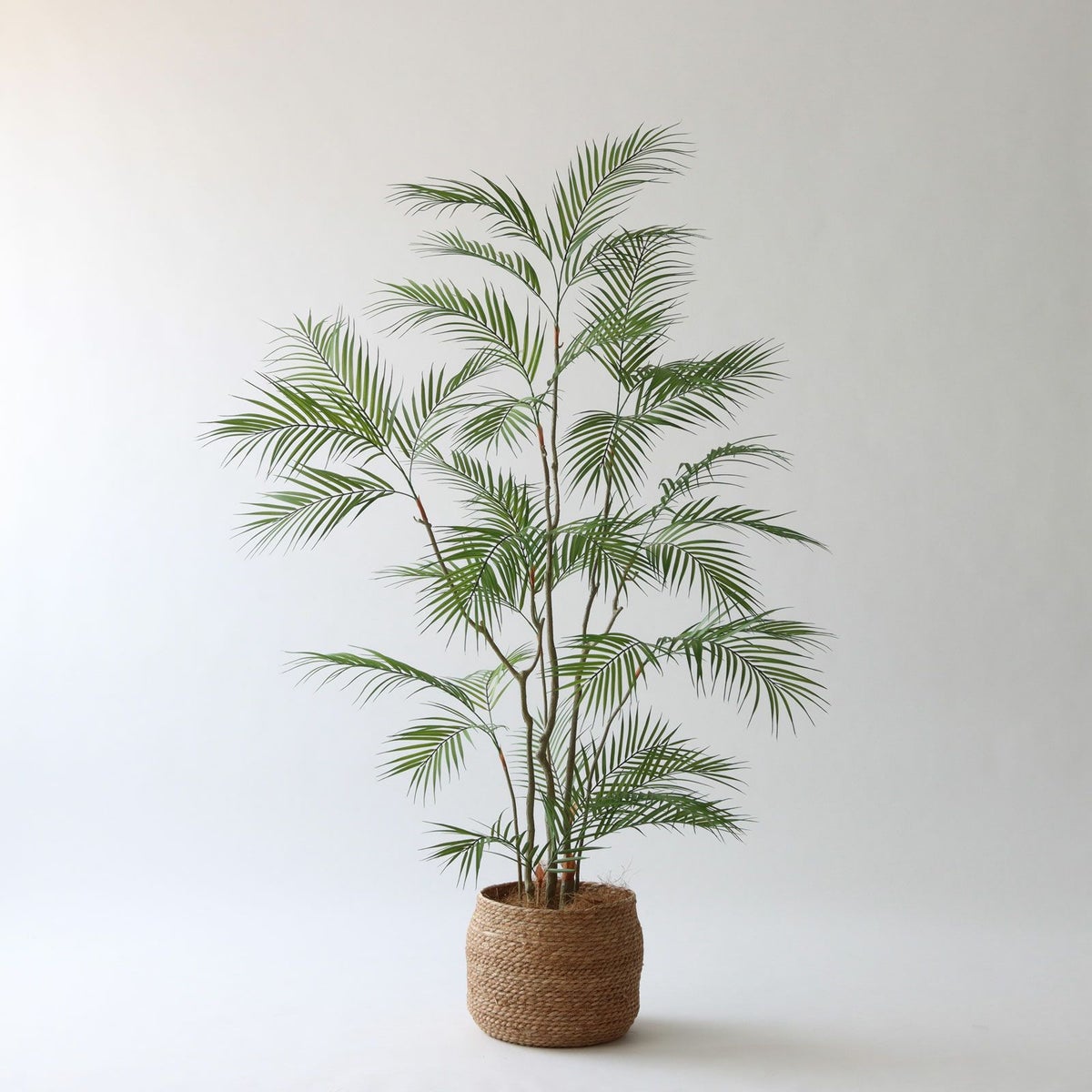 ① シーグラス 大（SK8）鉢カバーセット