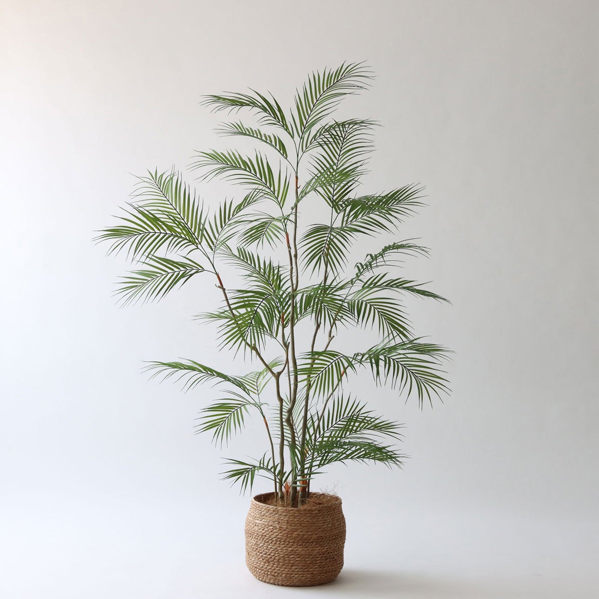 ① シーグラス 大（SK8）｜標準セット