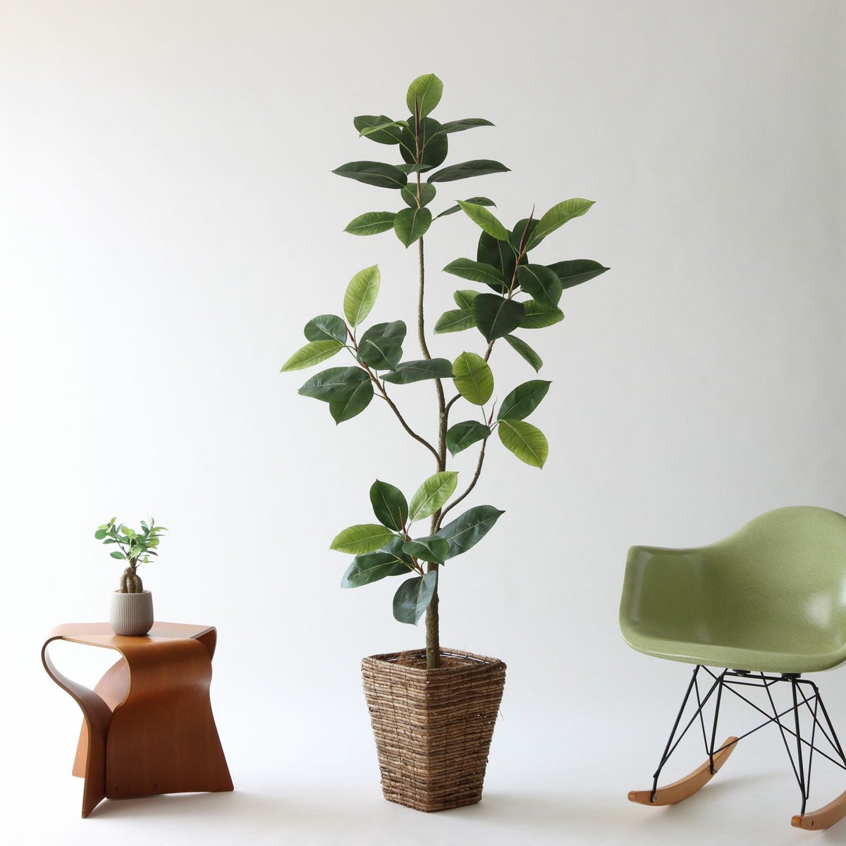 ② バナナリーフ 大（KG5-SRE）鉢カバーセット