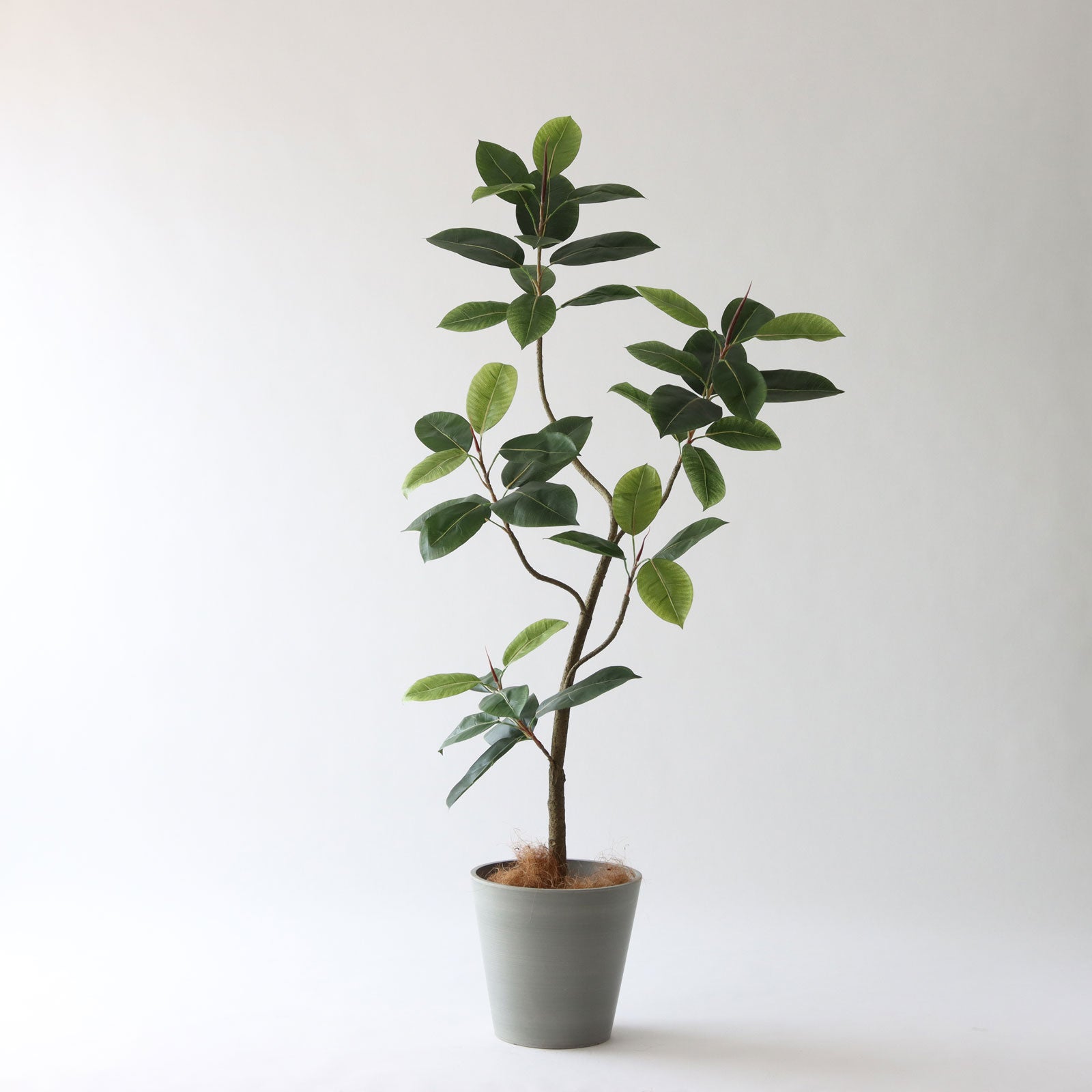 150cmサイズの使用例