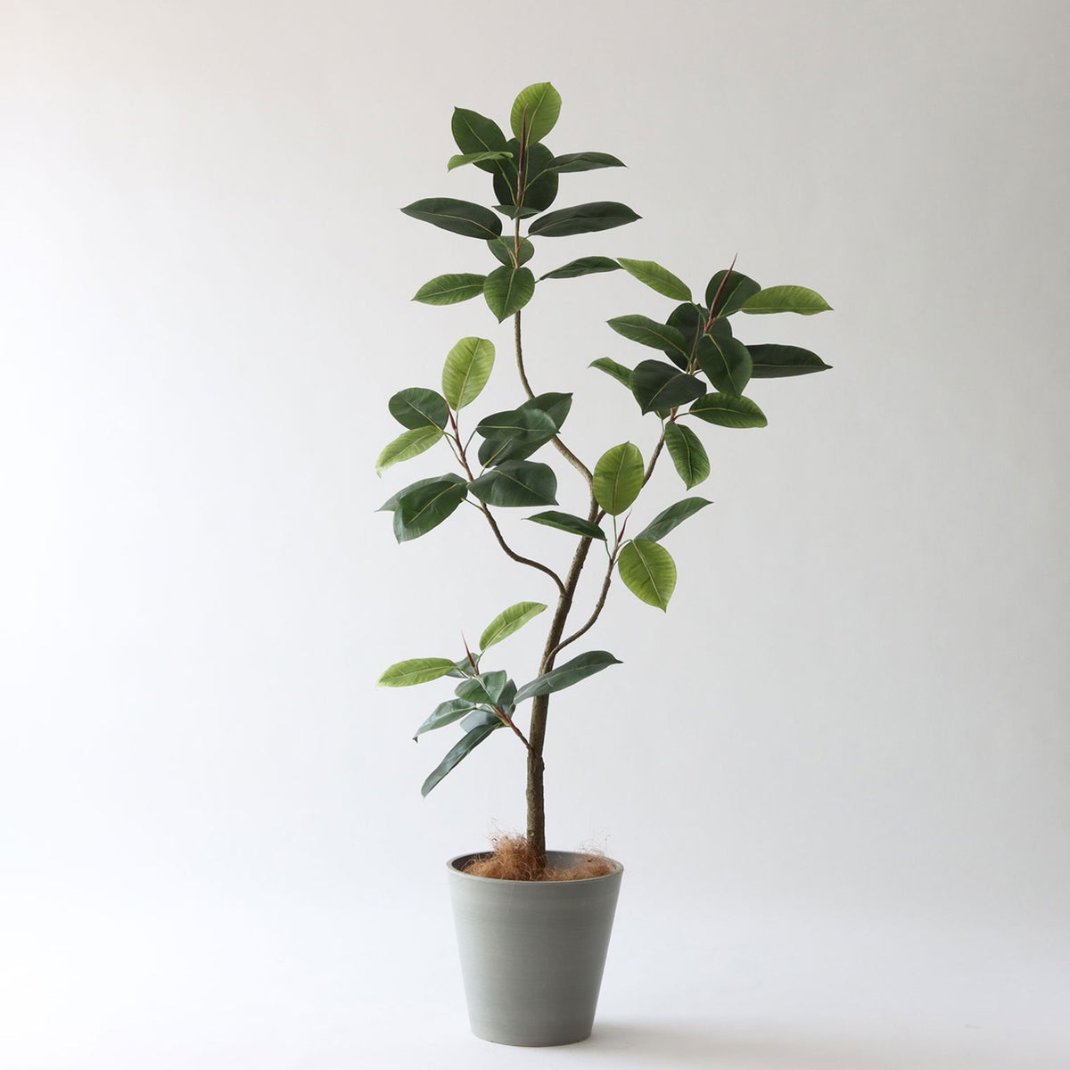 ⑮ Petraポット 小（PT8 グレー）｜高さ調整セット（+0cm）