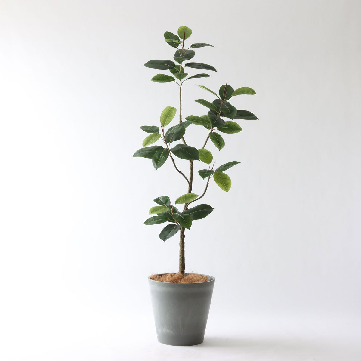 ⑯ Petraポット 大（PT10 グレー）鉢カバー＋底上げセット