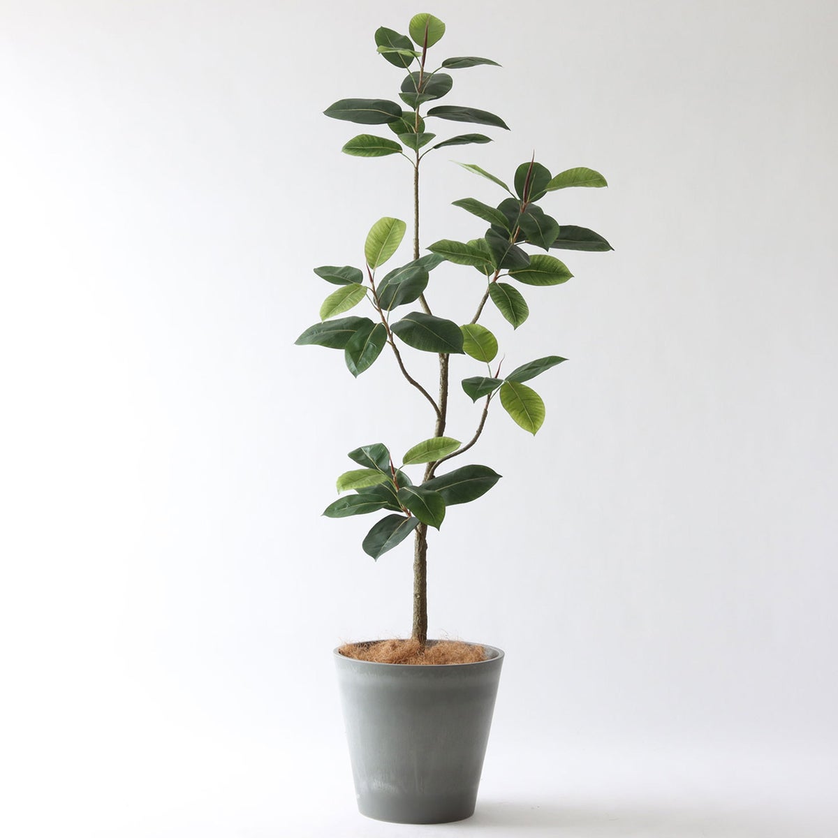 ⑯ Petraポット 大（PT10 グレー）｜高さ調整セット（+15cm）