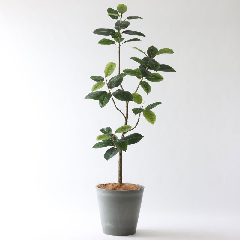 ⑯ Petraポット 大（PT10 グレー）｜高さ調整セット（+15cm）