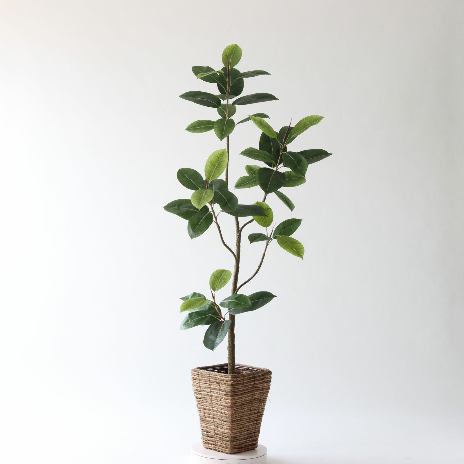 360度回転イメージ