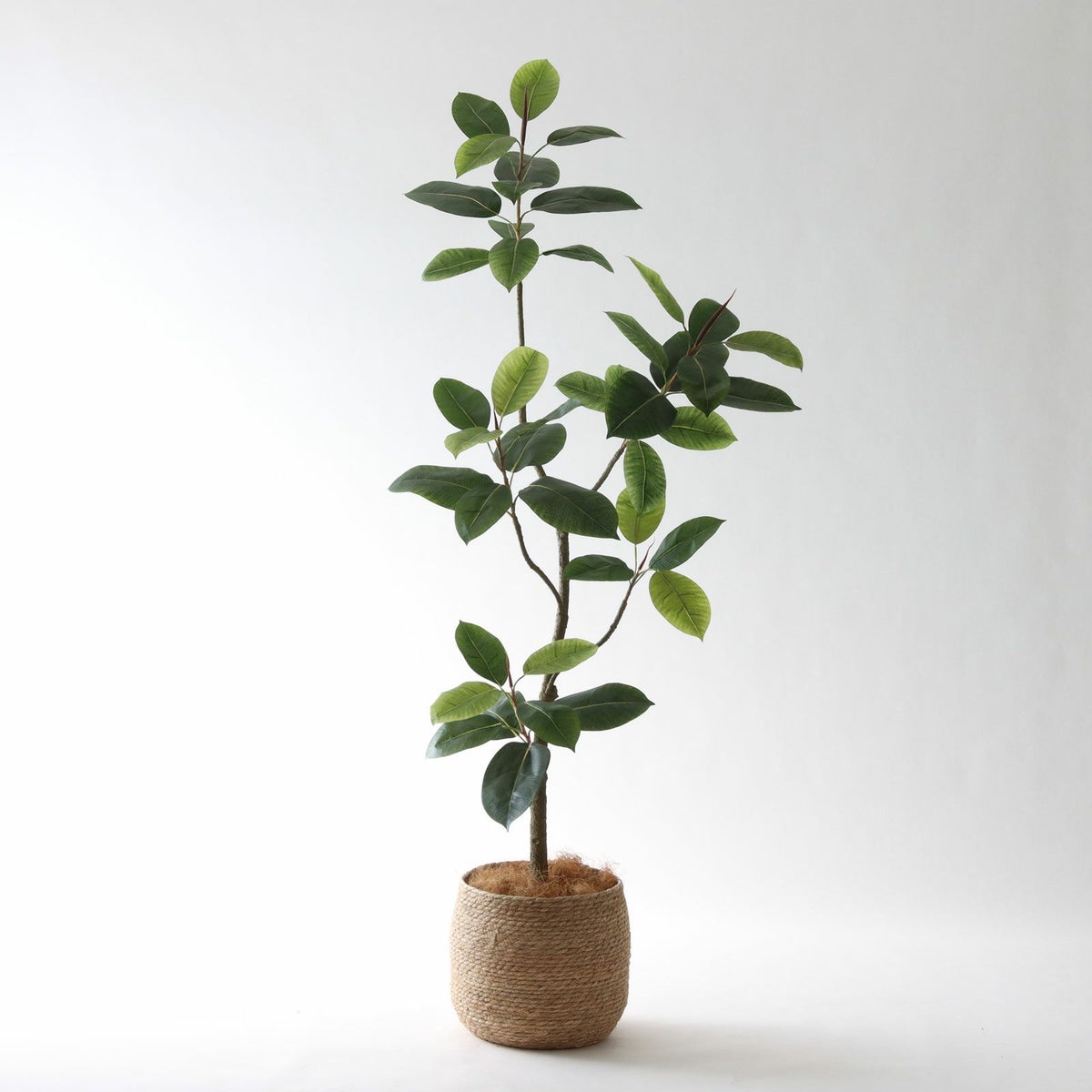 ① シーグラス 大（SK8）鉢カバーセット