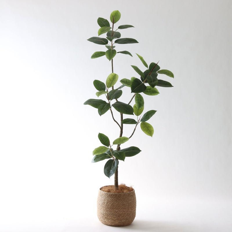 ① シーグラス 大（SK8）｜標準セット