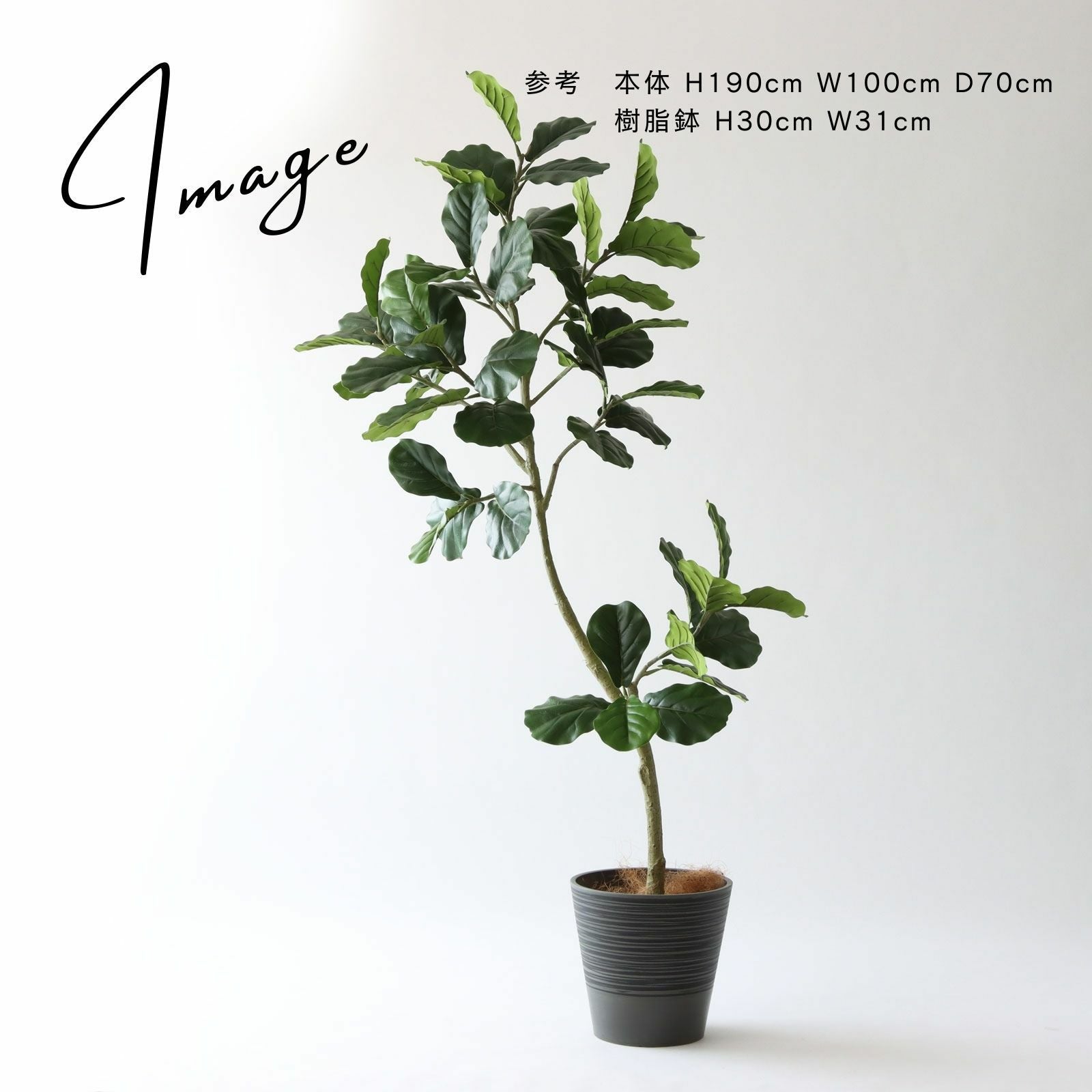 グレー鉢カバーのある空間イメージ