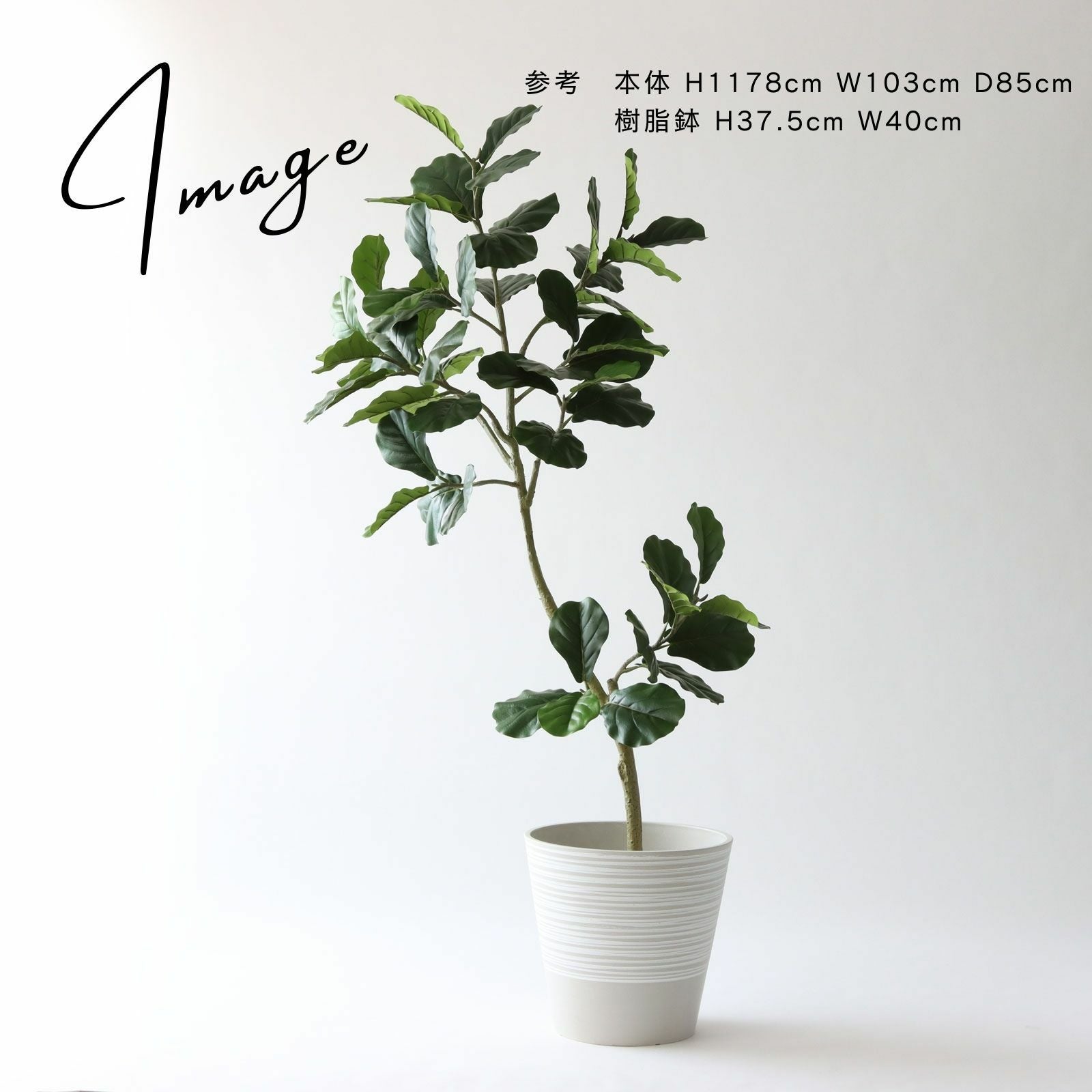 180cmサイズの使用例