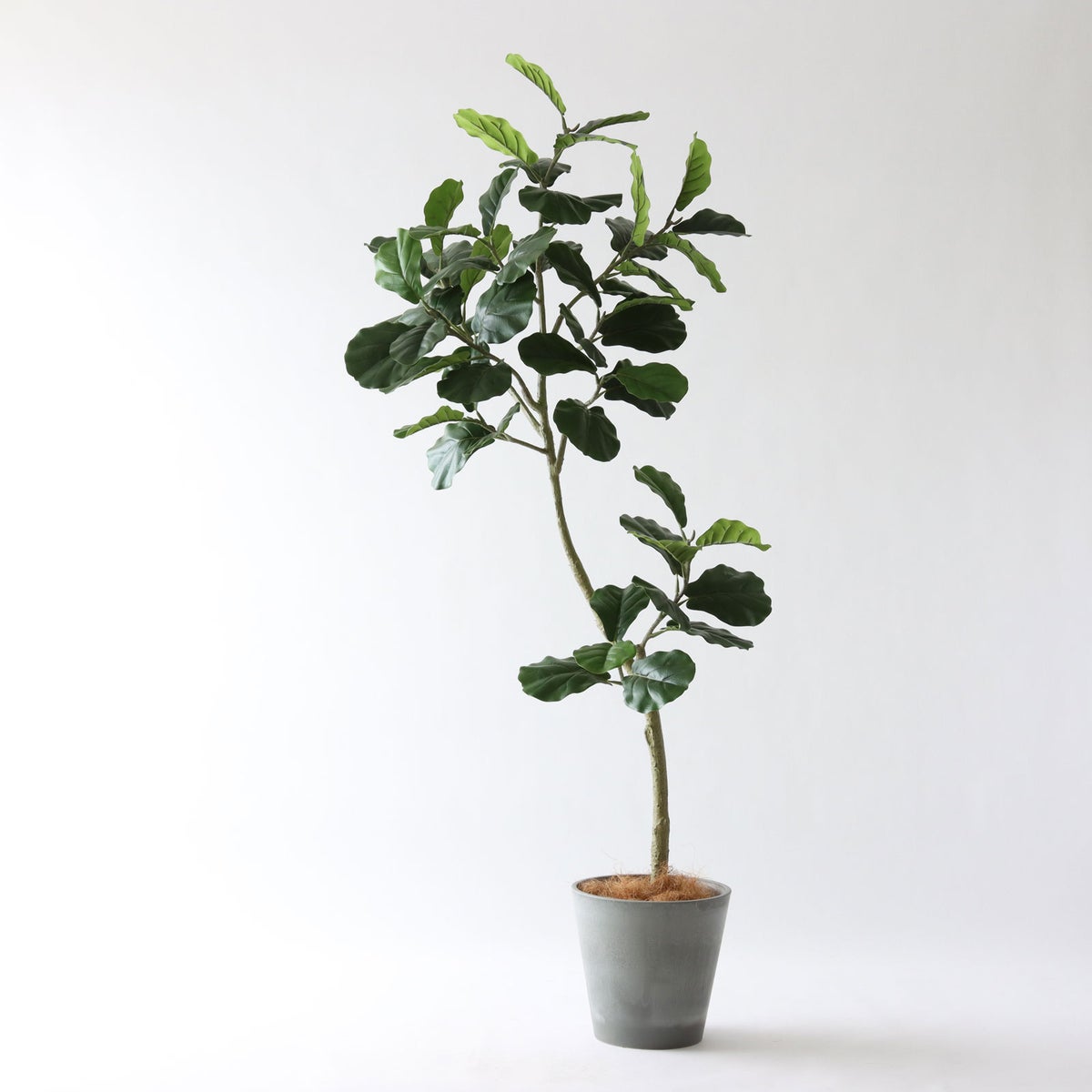 ⑮ Petraポット 小（PT8 グレー）鉢カバー＋底上げセット