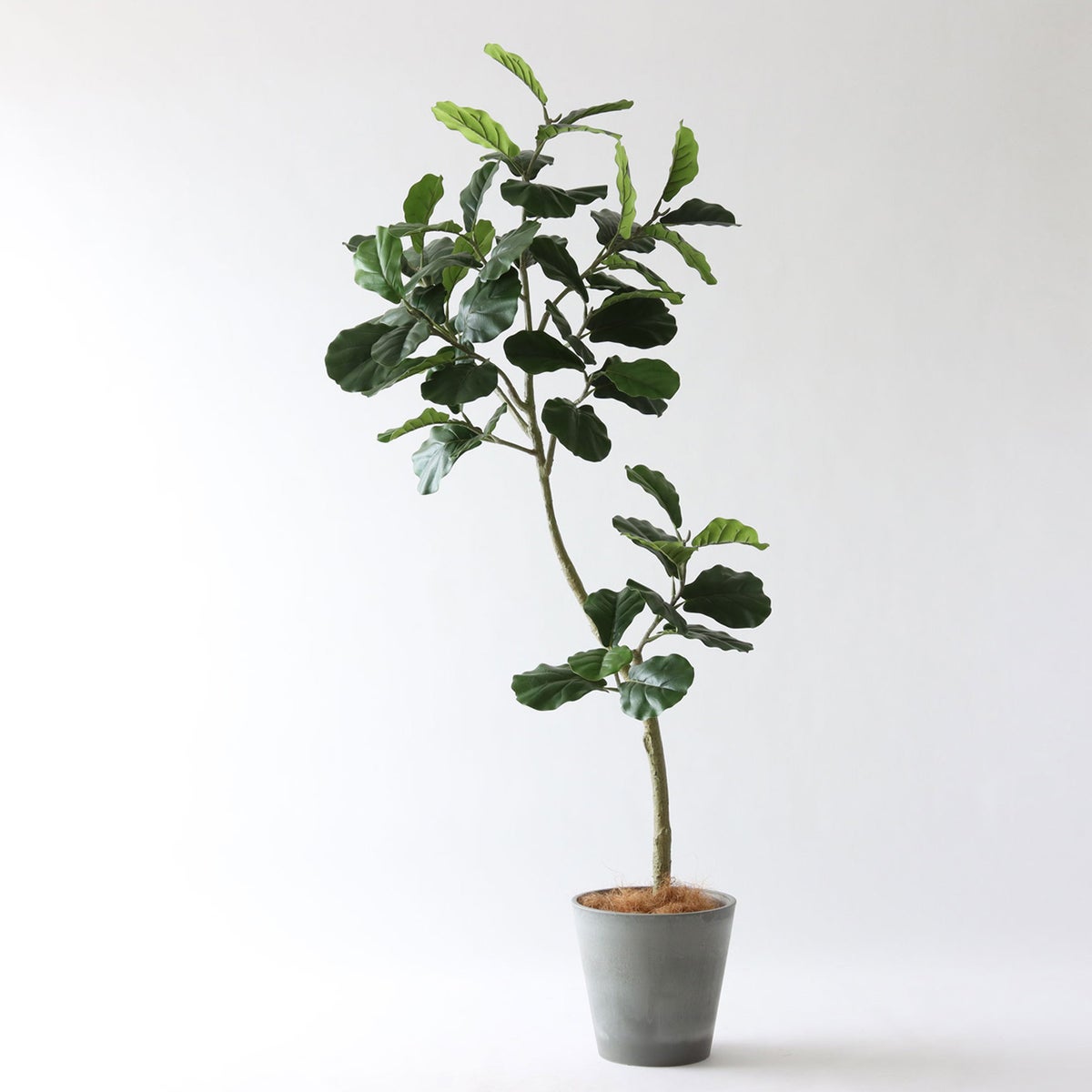 ⑮ Petraポット 小（PT8 グレー）｜高さ調整セット（+10cm）