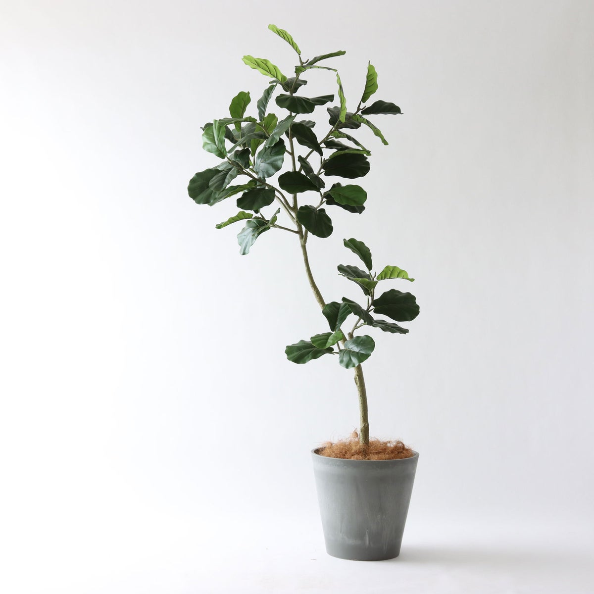 ⑯ Petraポット 大（PT10 グレー）鉢カバー＋底上げセット