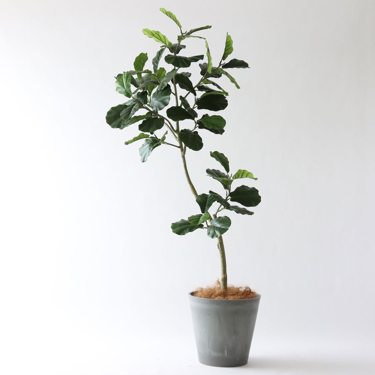 ⑯ Petraポット 大（PT10 グレー）｜高さ調整セット（+15cm）