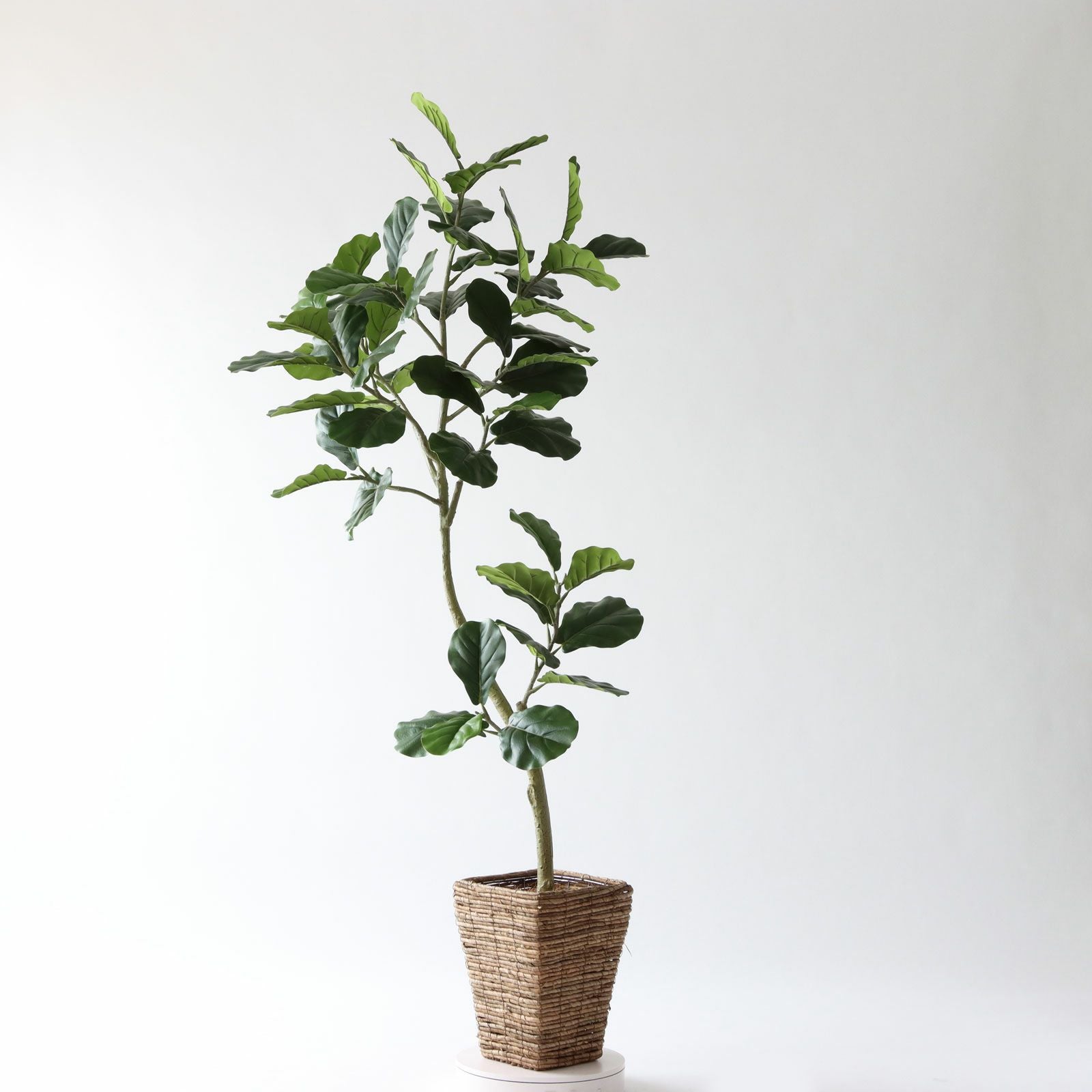 360度回転イメージ