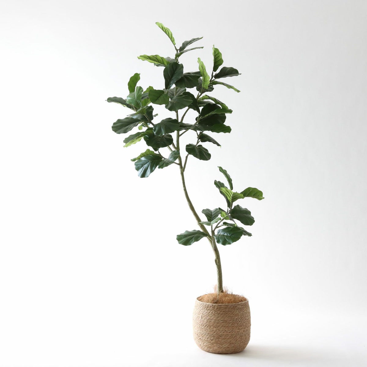 ① シーグラス 大（SK8）鉢カバーセット