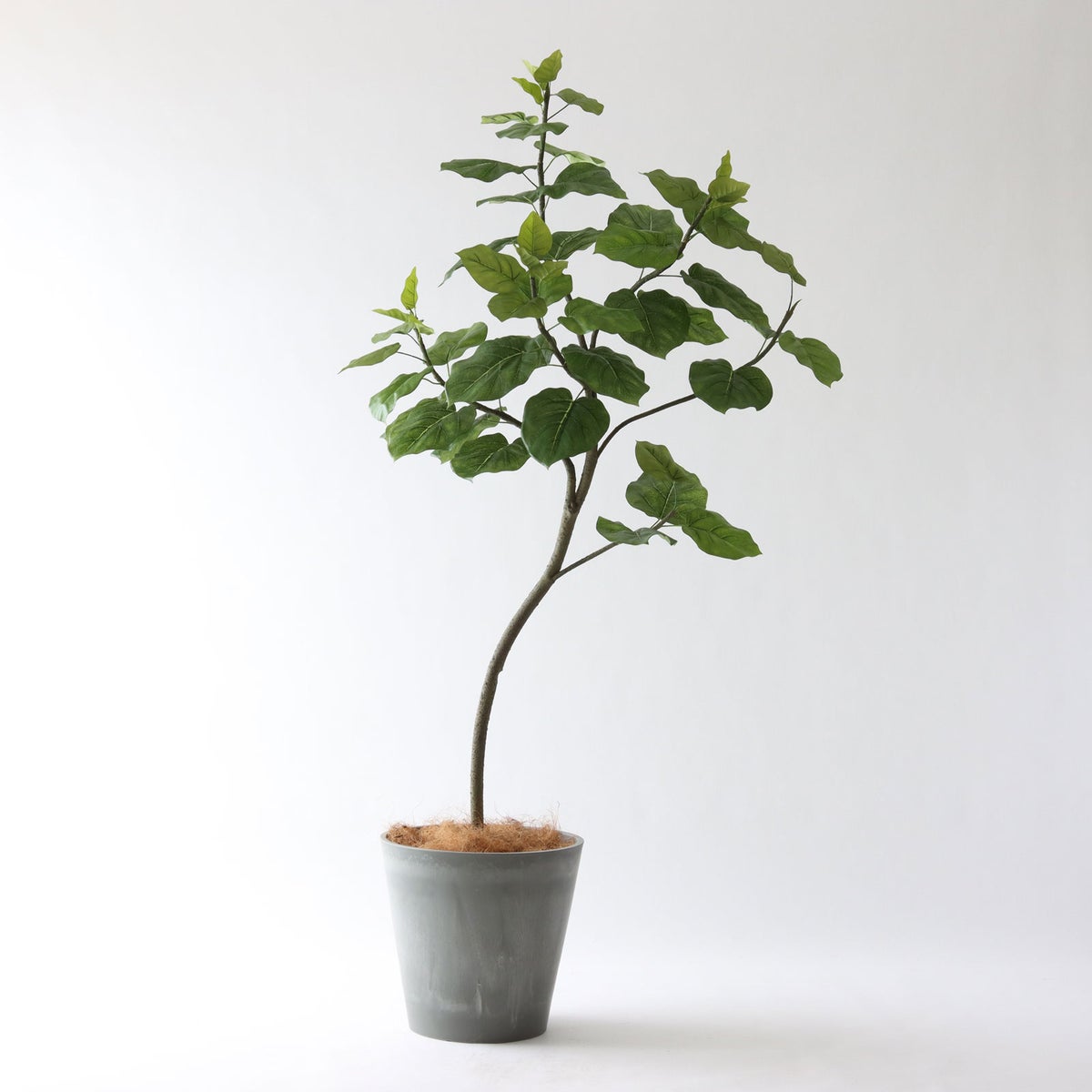 ⑯ Petraポット 大（PT10 グレー）鉢カバー＋底上げセット