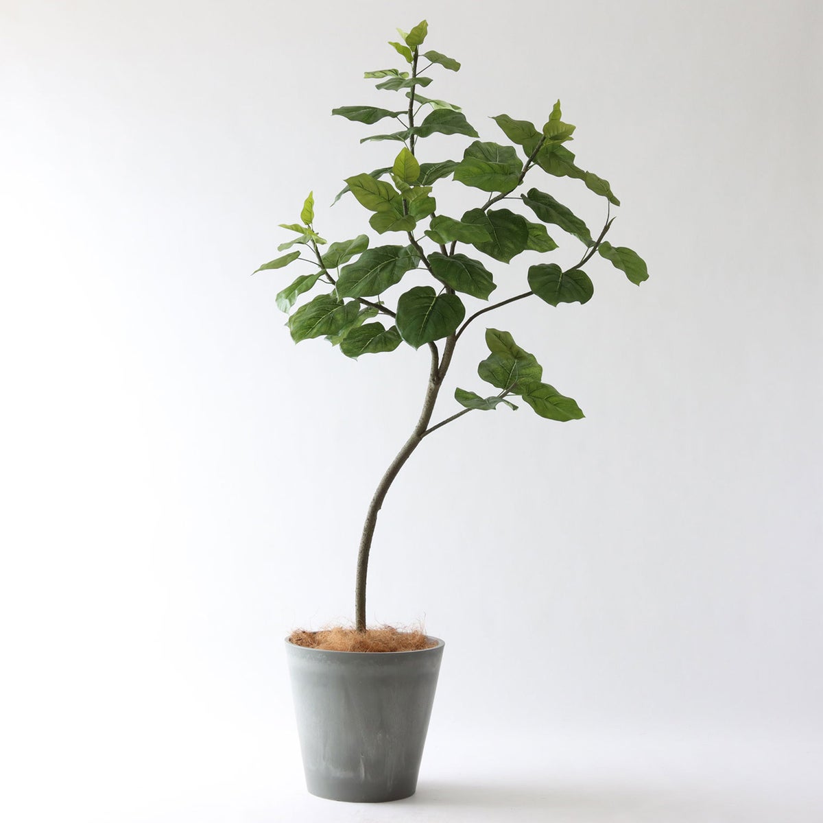 ⑯ Petraポット 大（PT10 グレー）｜高さ調整セット（+15cm）