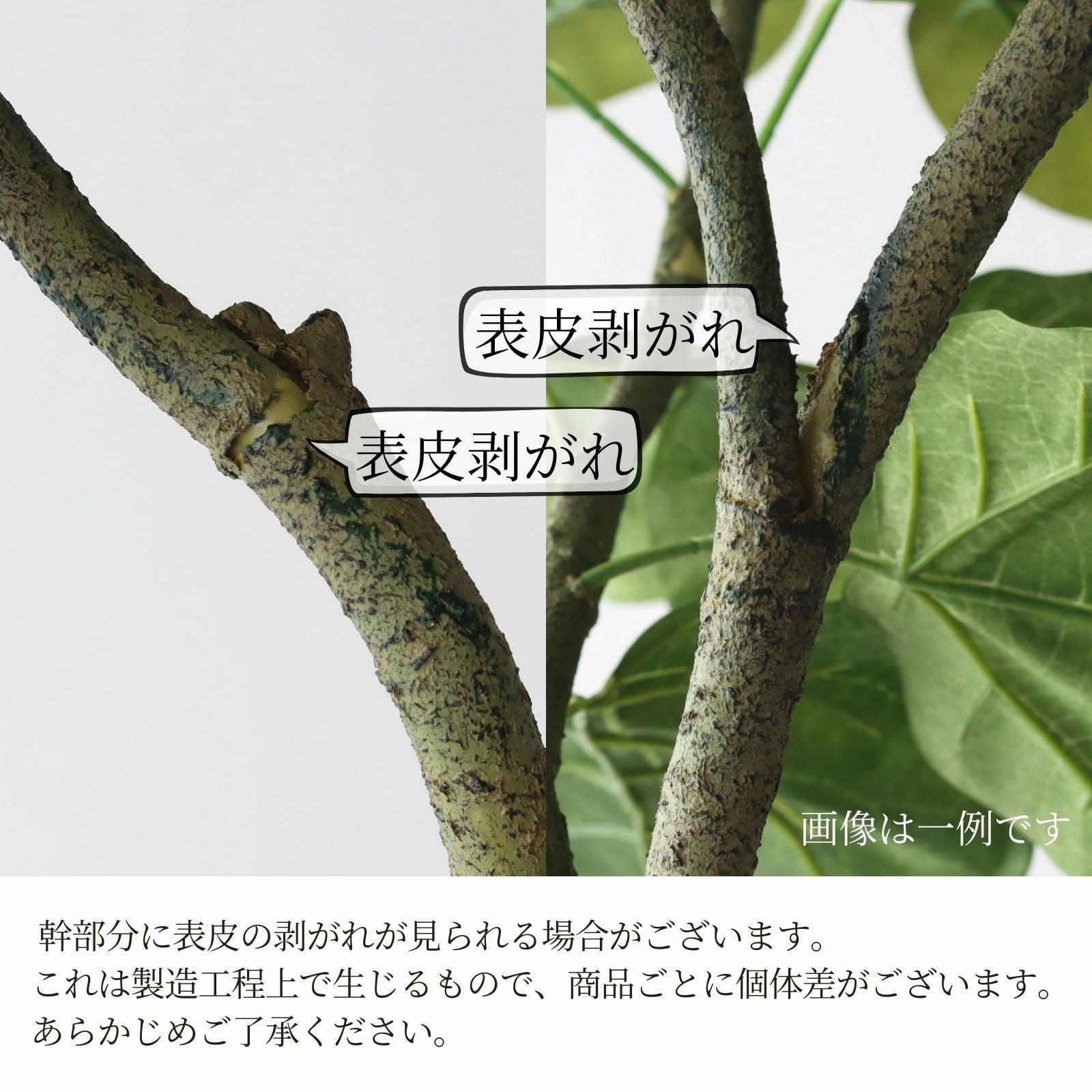 グリーン 撮影用 イベント用　当時物 No9295 プレミアム光触媒フェイクグリーン 「丸みを帯びた葉の陰影
