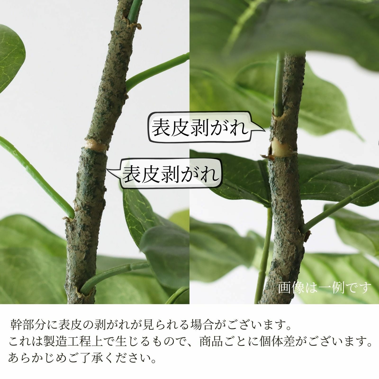 No9295 プレミアム光触媒フェイクグリーン 「丸みを帯びた葉の陰影