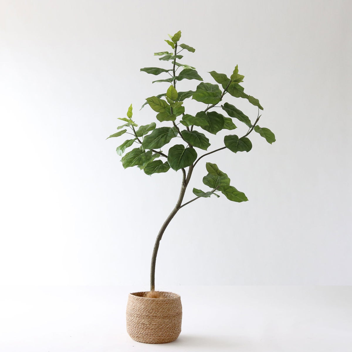 ① シーグラス 大（SK8）｜標準セット