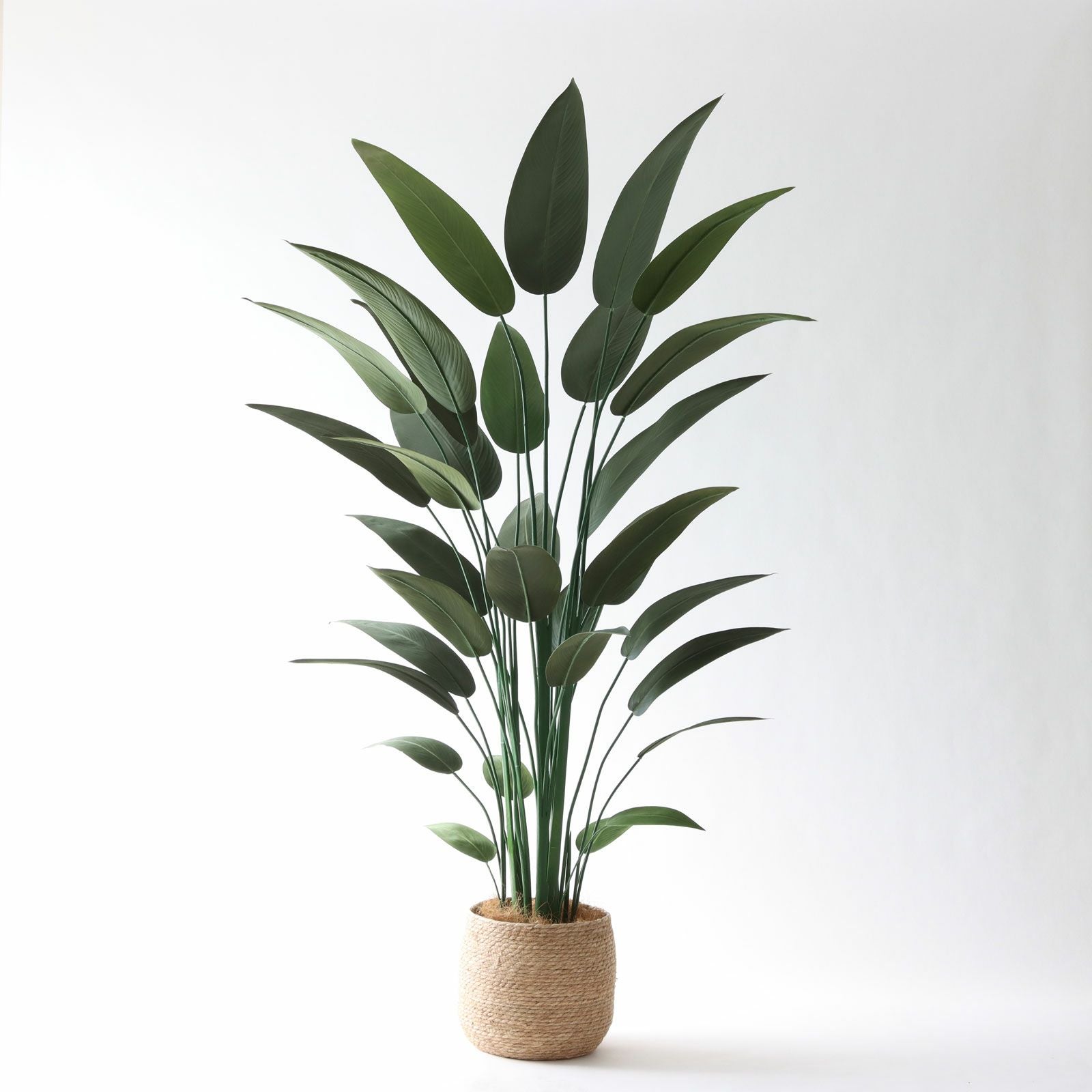 ストレリチア フェイクグリーン 商品写真