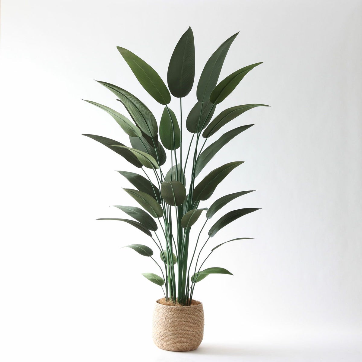 ① シーグラス 大（SK8）鉢カバーセット