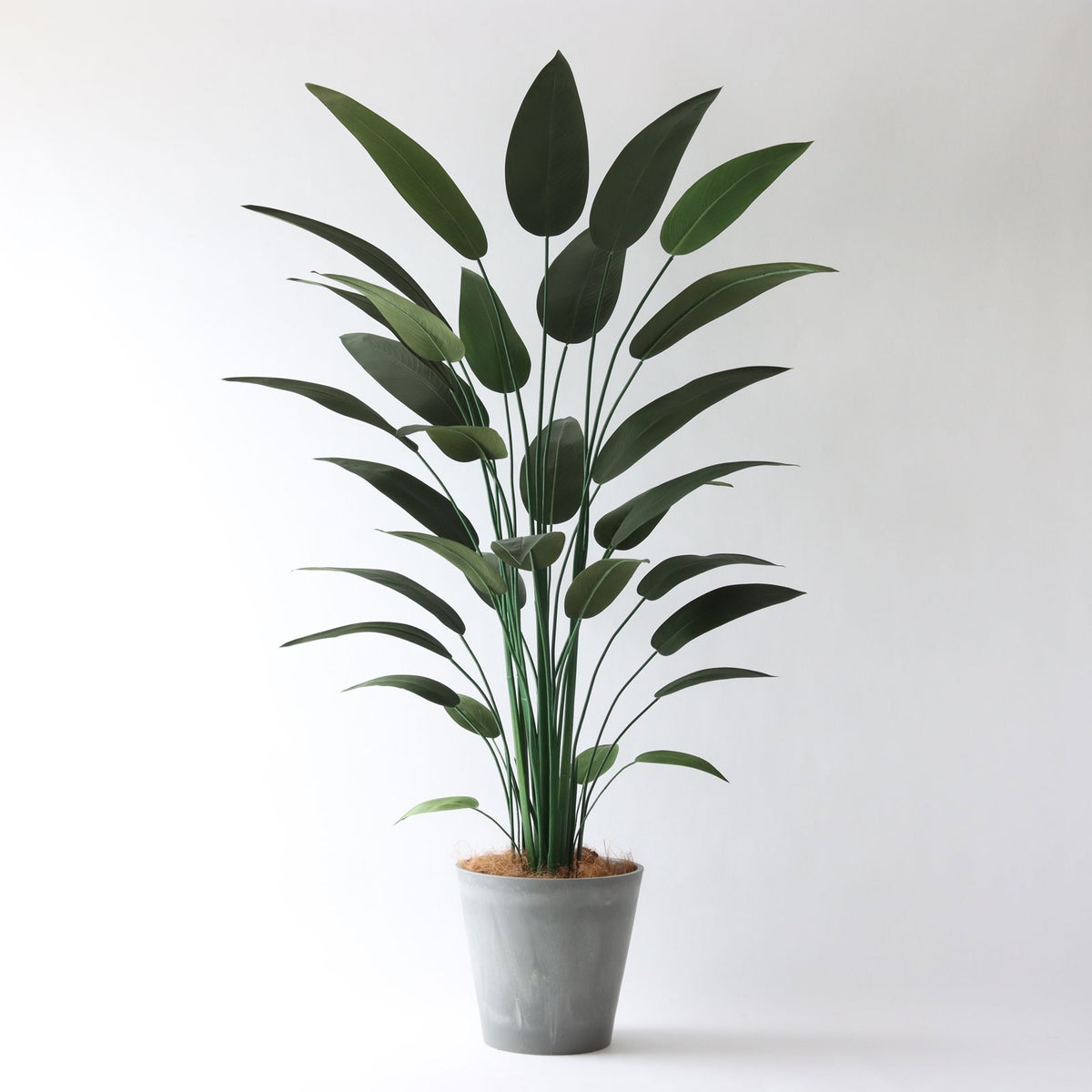 ⑯ Petraポット 大（PT10 グレー）鉢カバー＋底上げセット